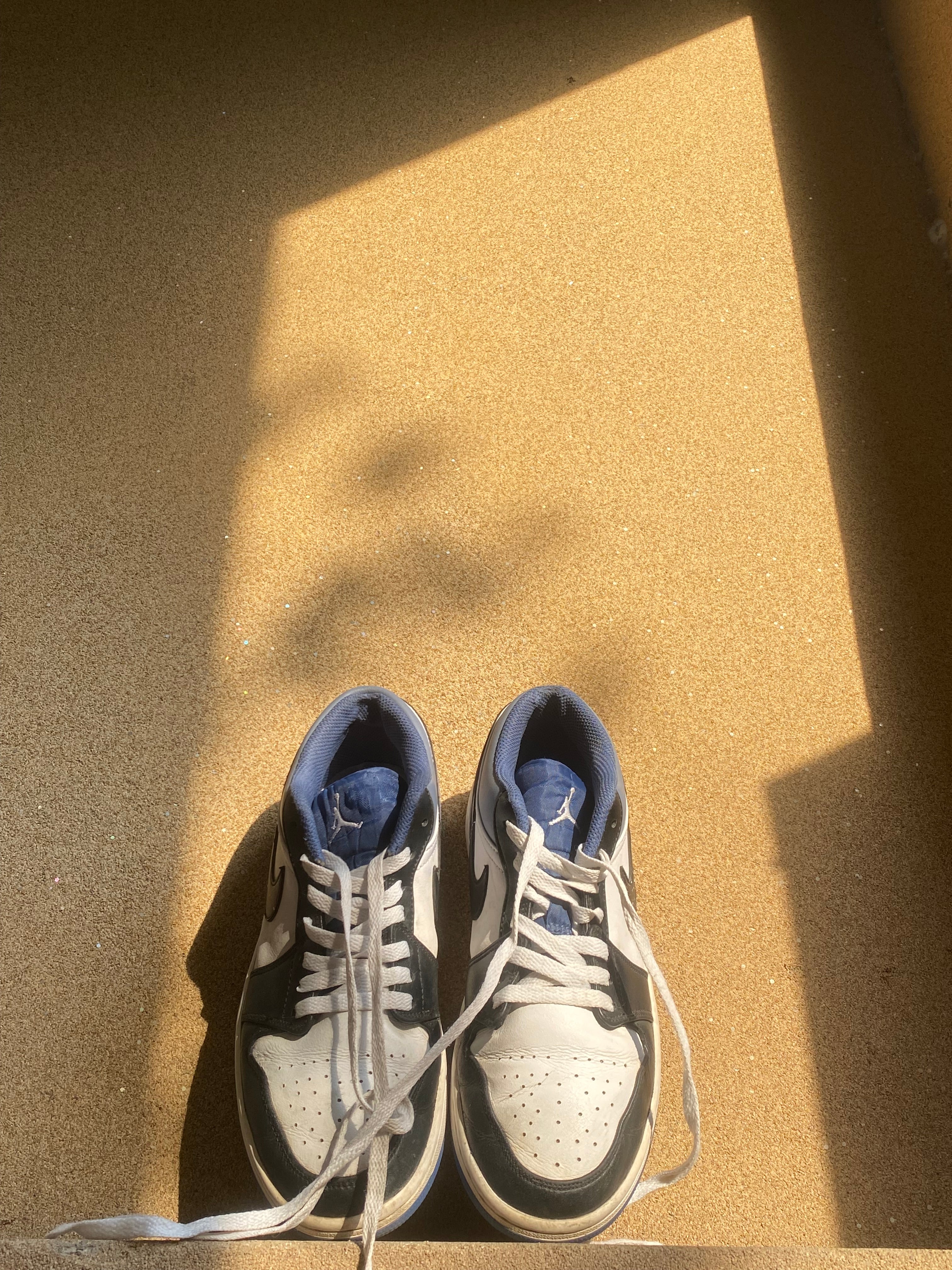 NIKE AIR JORDAN 1 LOW BLUE GRAVITY 🕷️