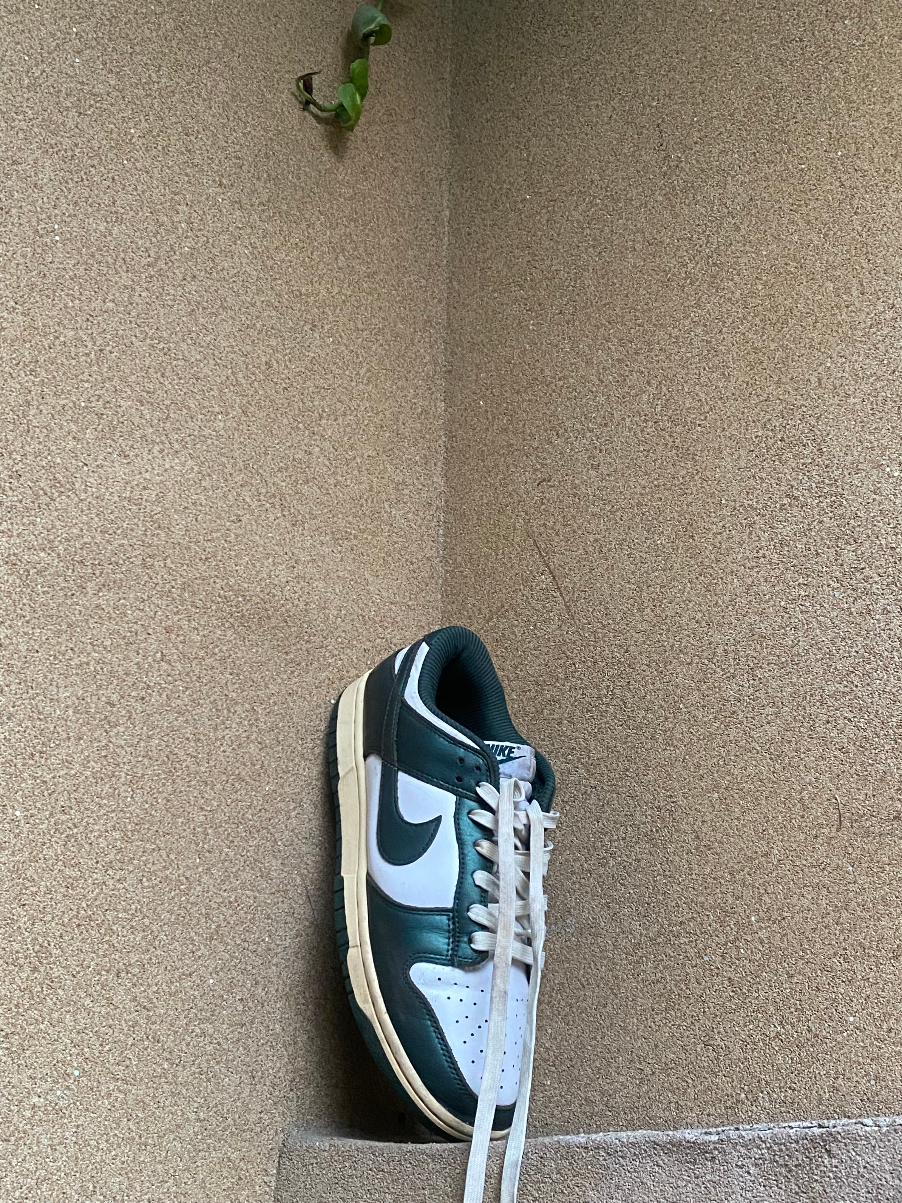 NIKE DUNK LOW PINE GREEN💚