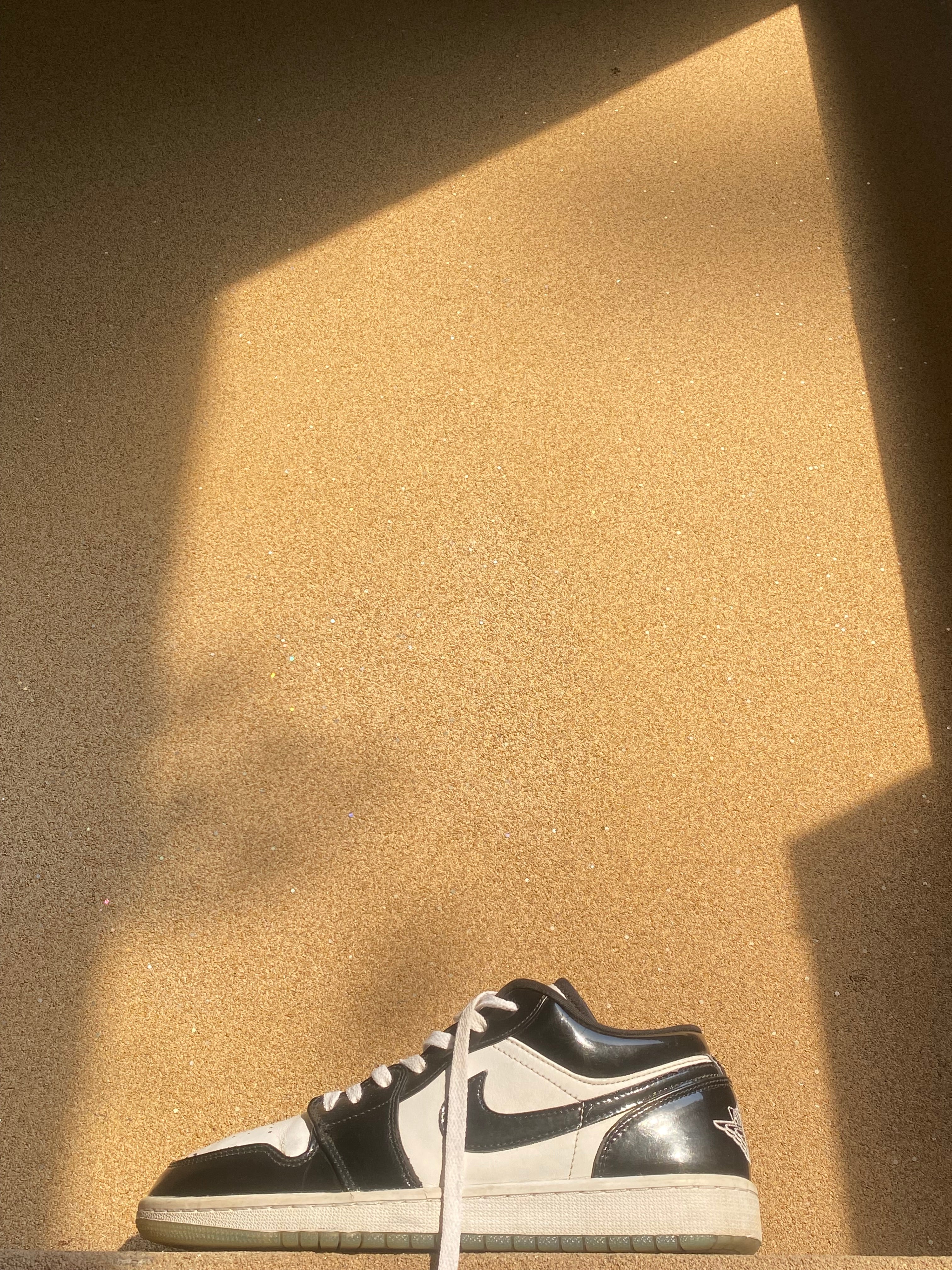 NIKE AIR JORDAN LOW CONCORD 🐊