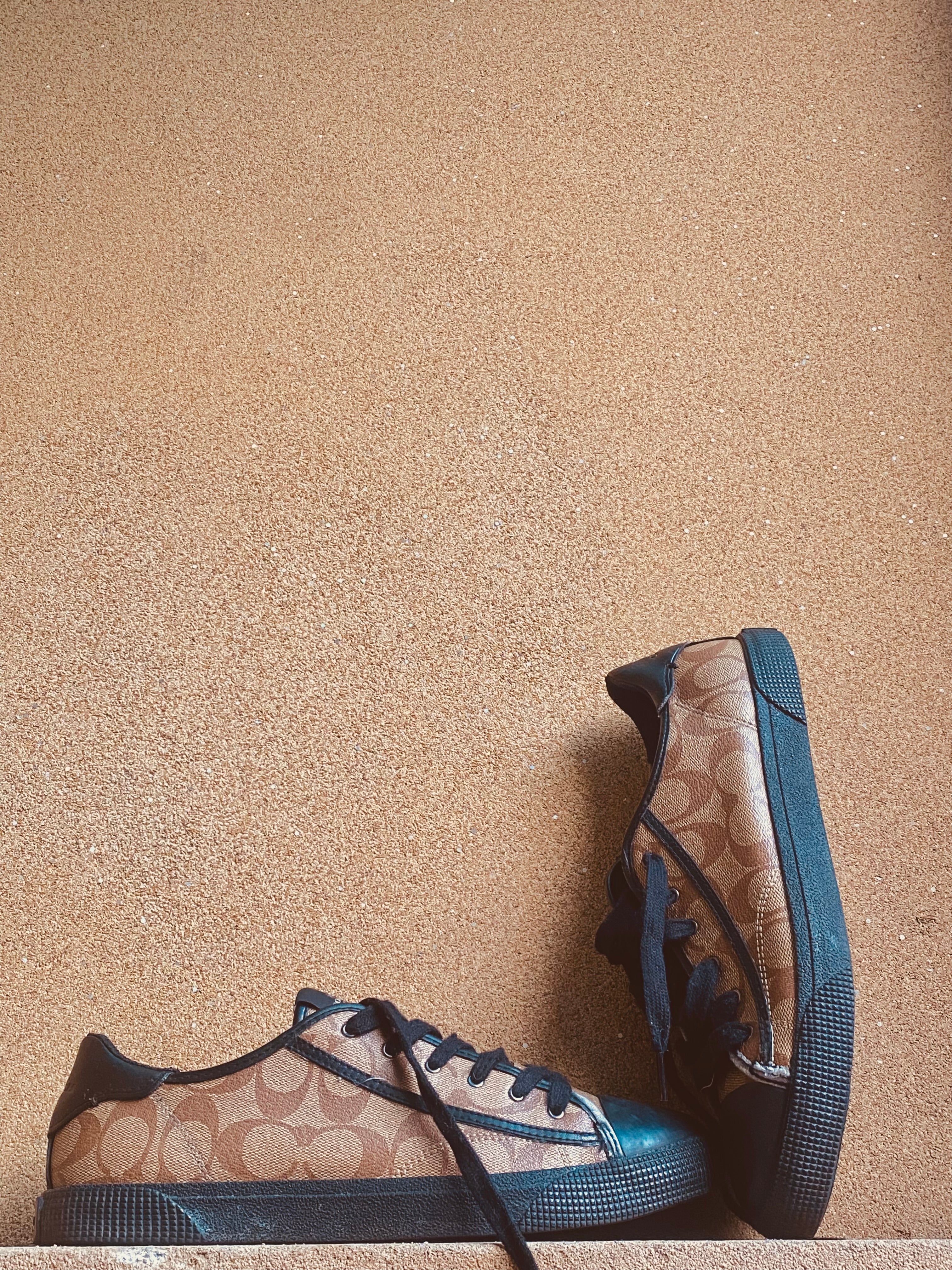 COACH LOW TOP SNEAKERS 🐎