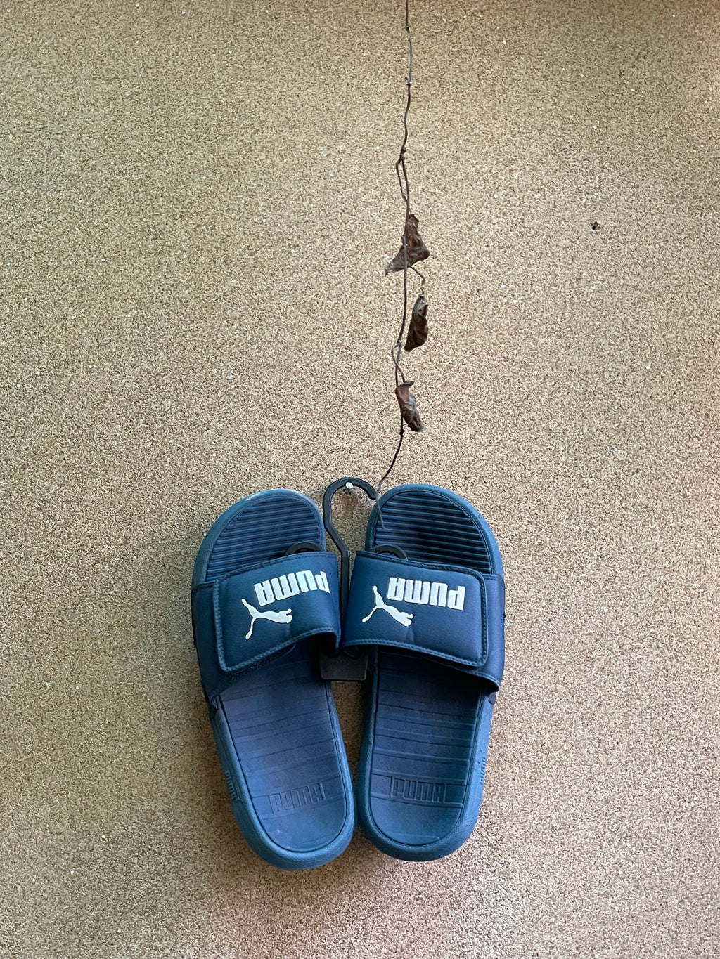 PUMA SLIPPERS 🪽