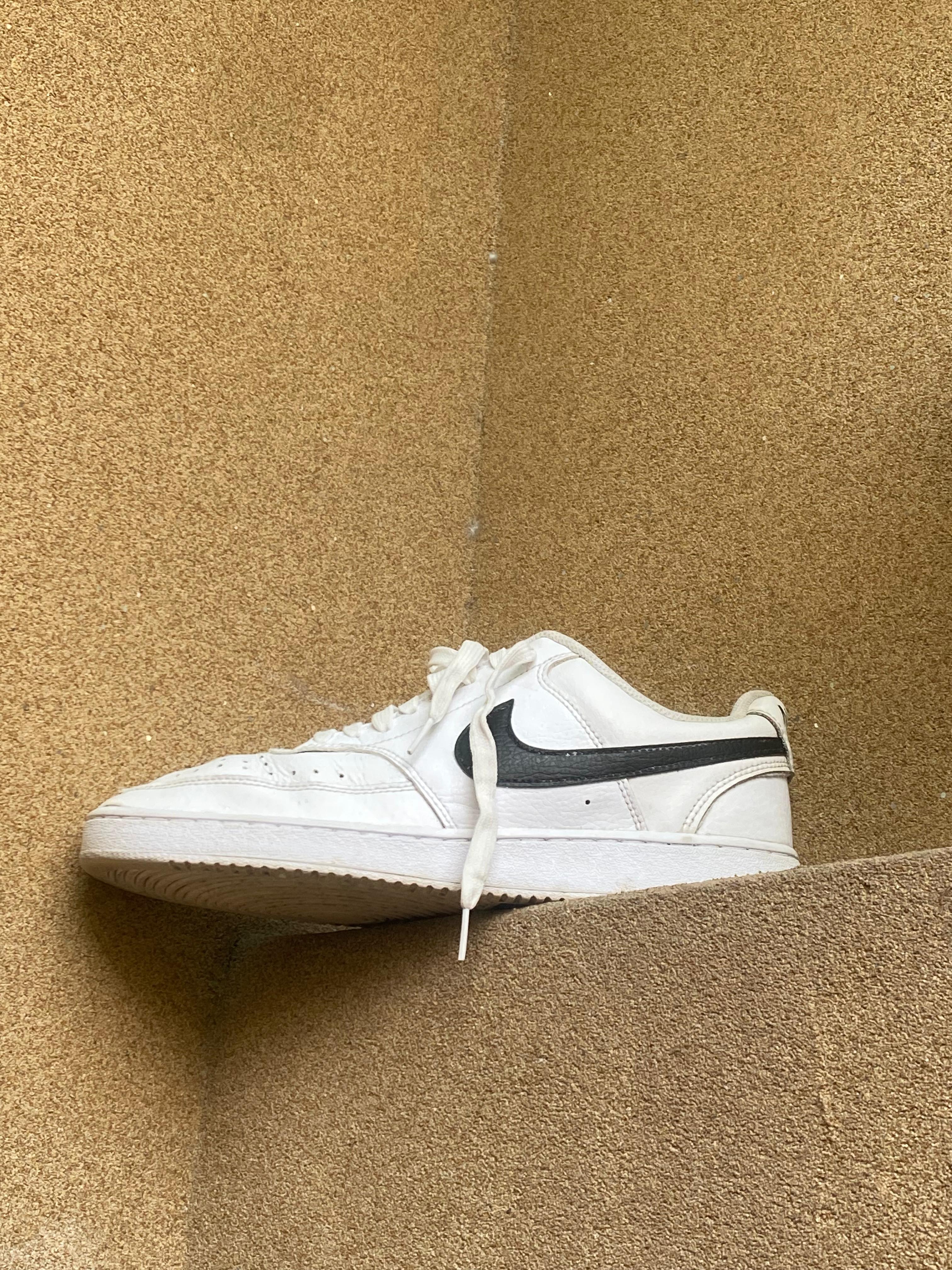 NIKE COURT VISION LOW 🐊