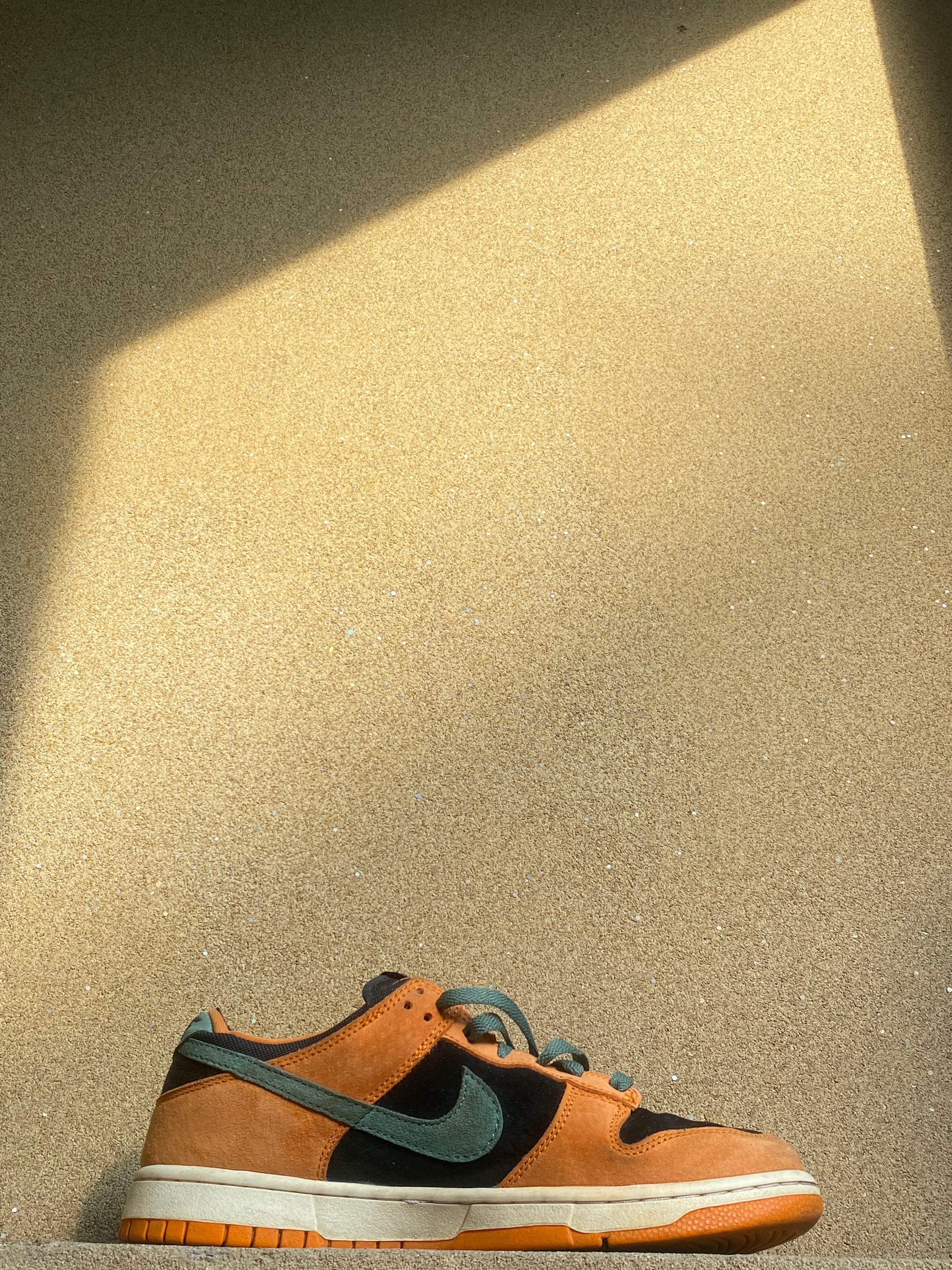 NIKE DUNK LOW SP CERAMIC 🏺