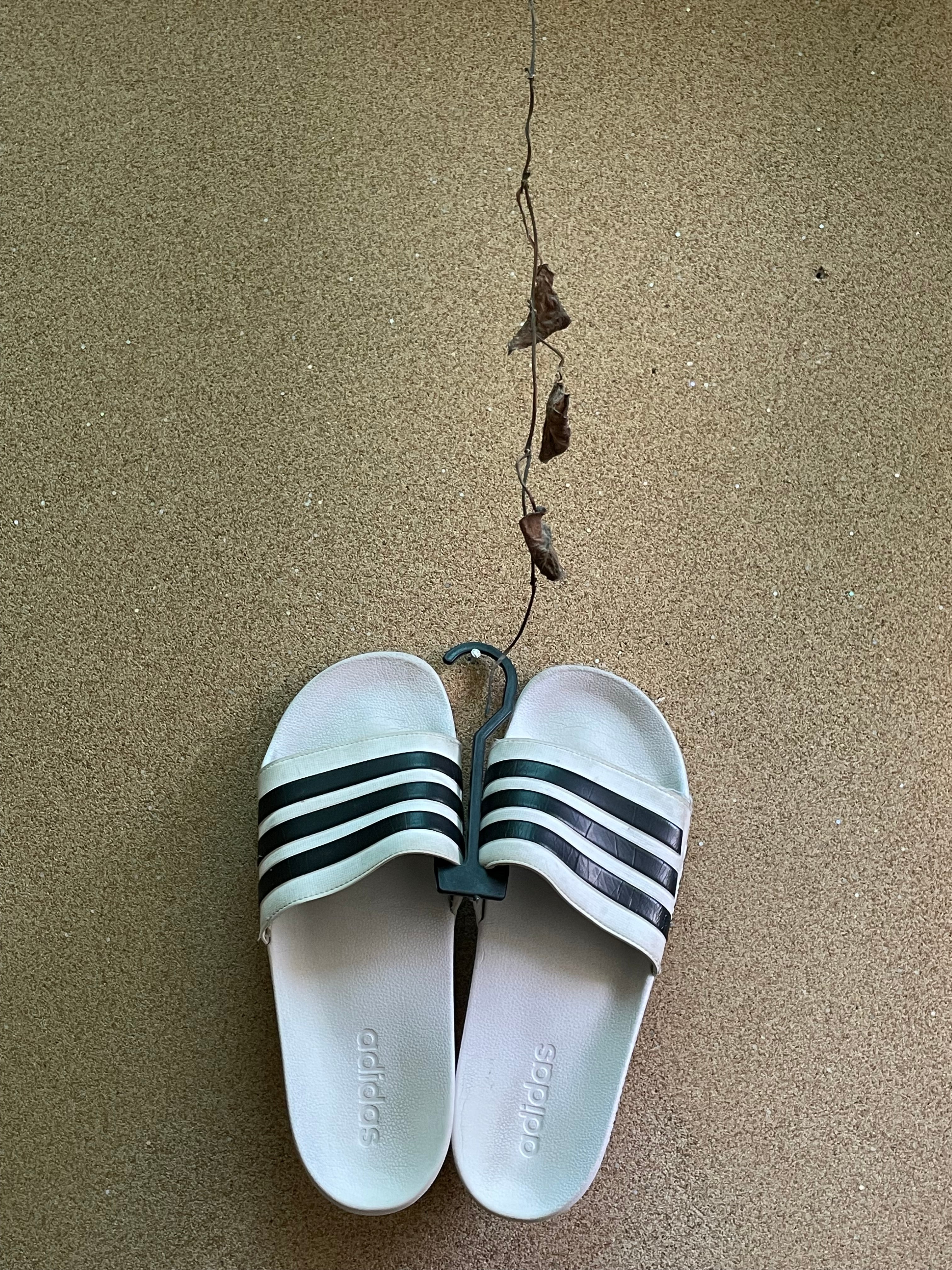 ADIDAS SLIDES 👾