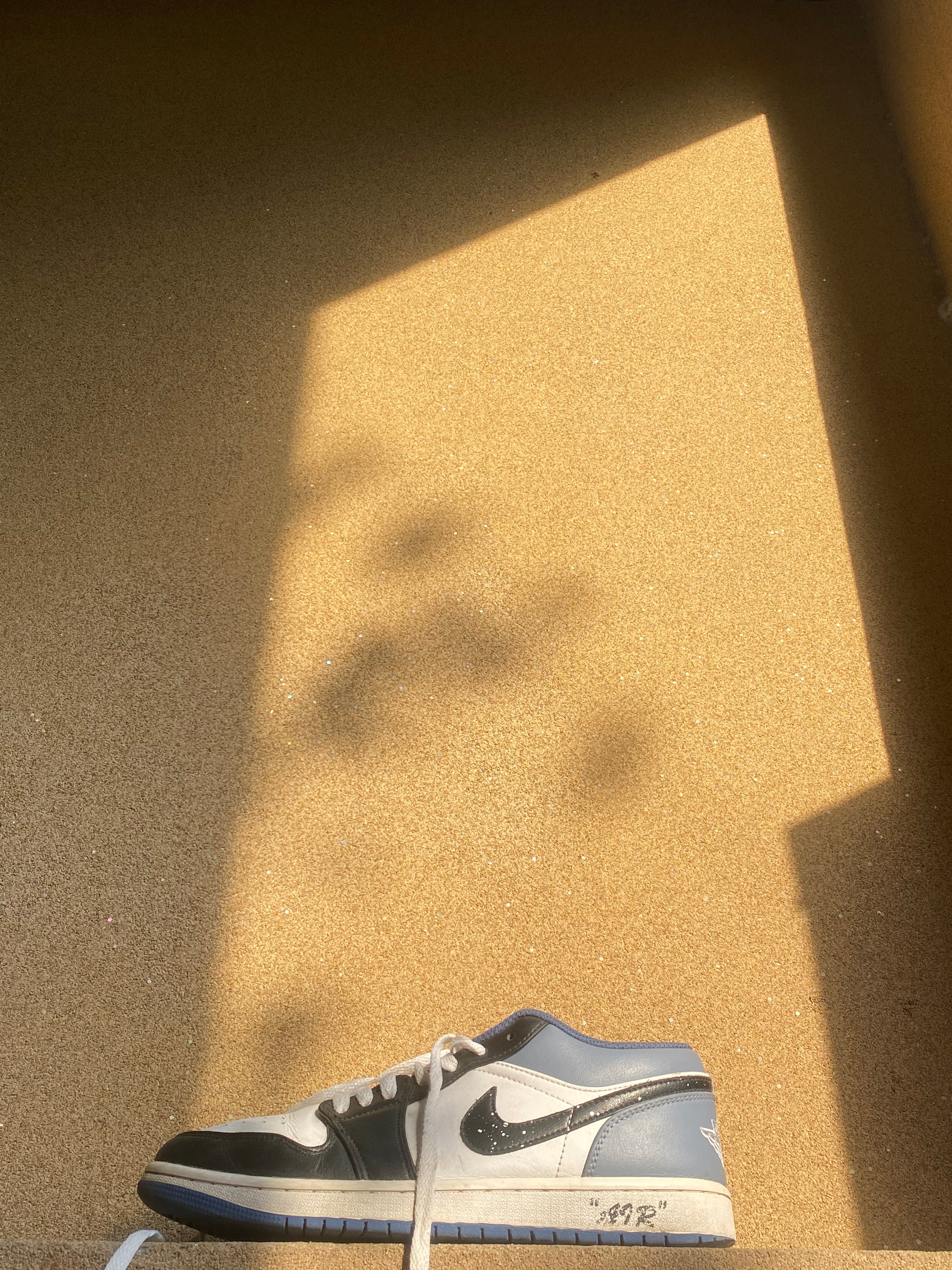 NIKE AIR JORDAN 1 LOW BLUE GRAVITY 🕷️