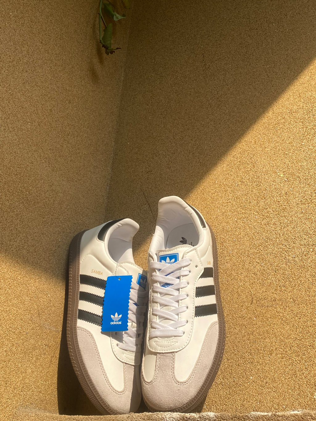 ADIDAS SAMBA OG 🦁