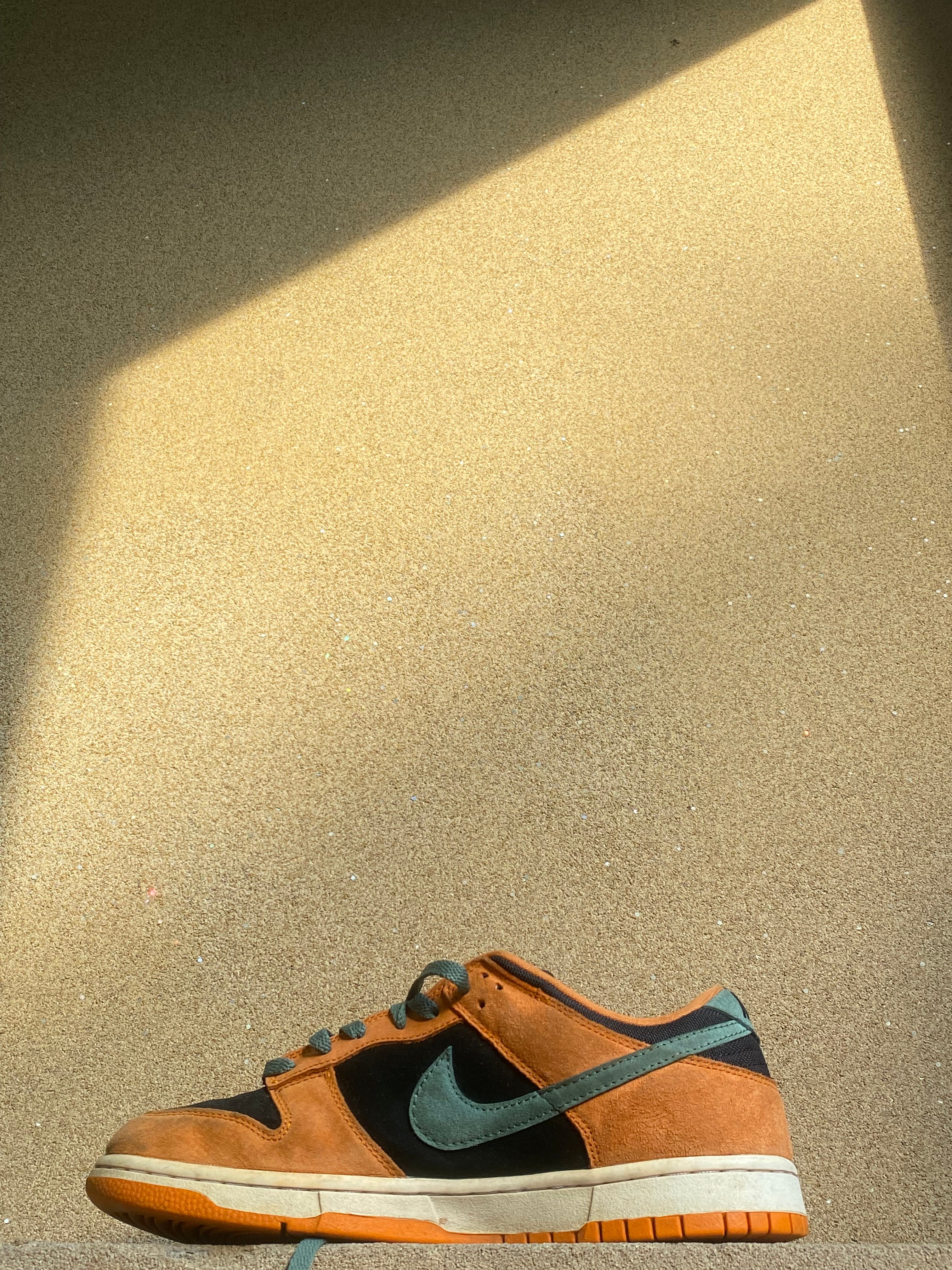 NIKE DUNK LOW SP CERAMIC 🏺