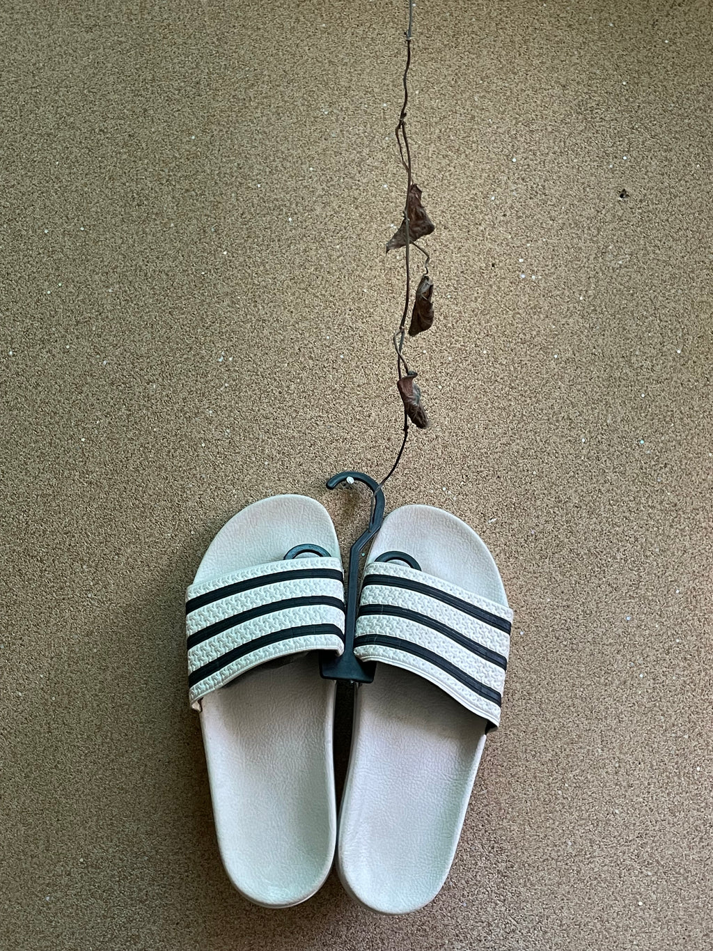 ADIDAS SLIDES ⚜️
