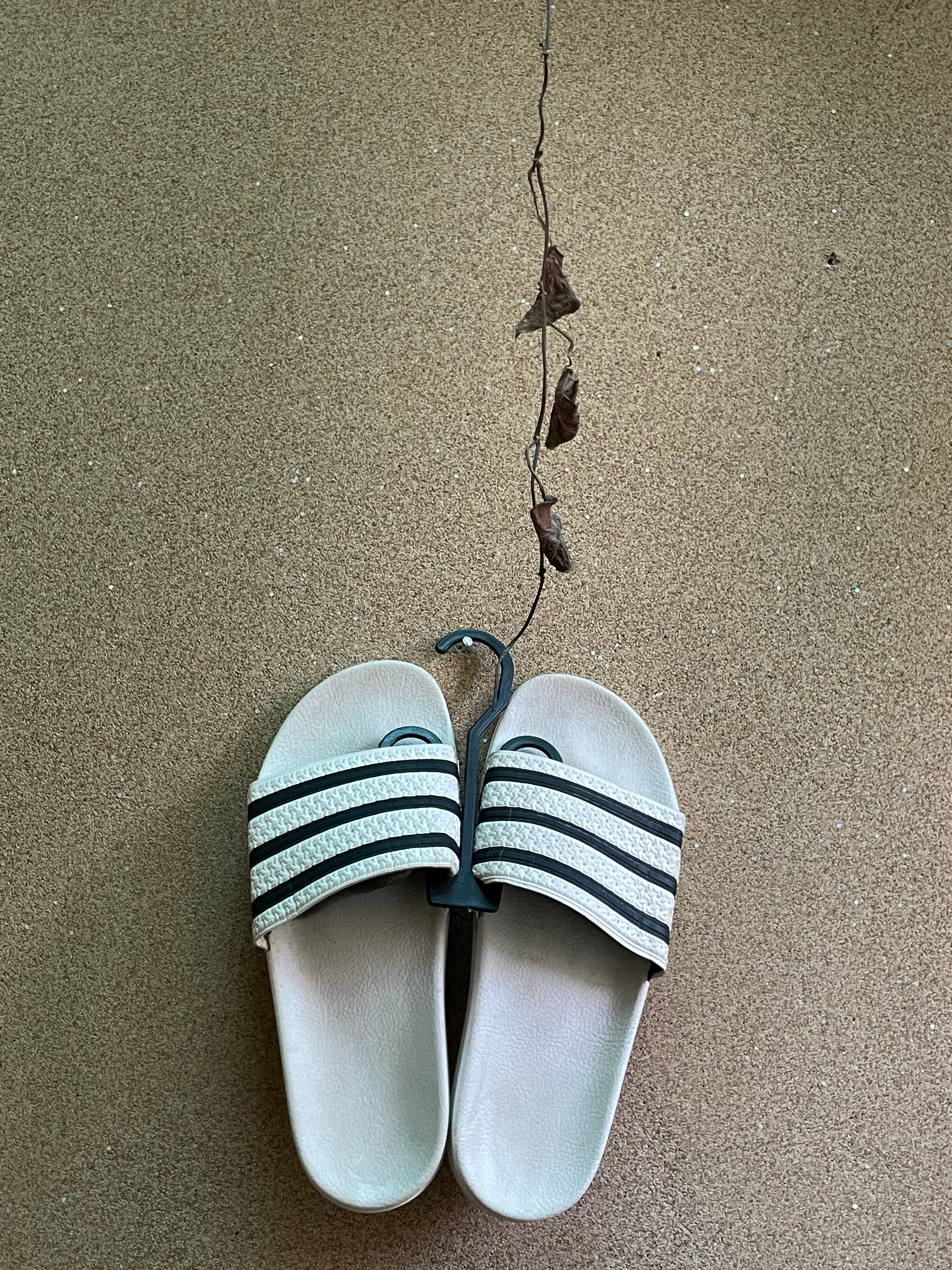 ADIDAS SLIDES ⚜️