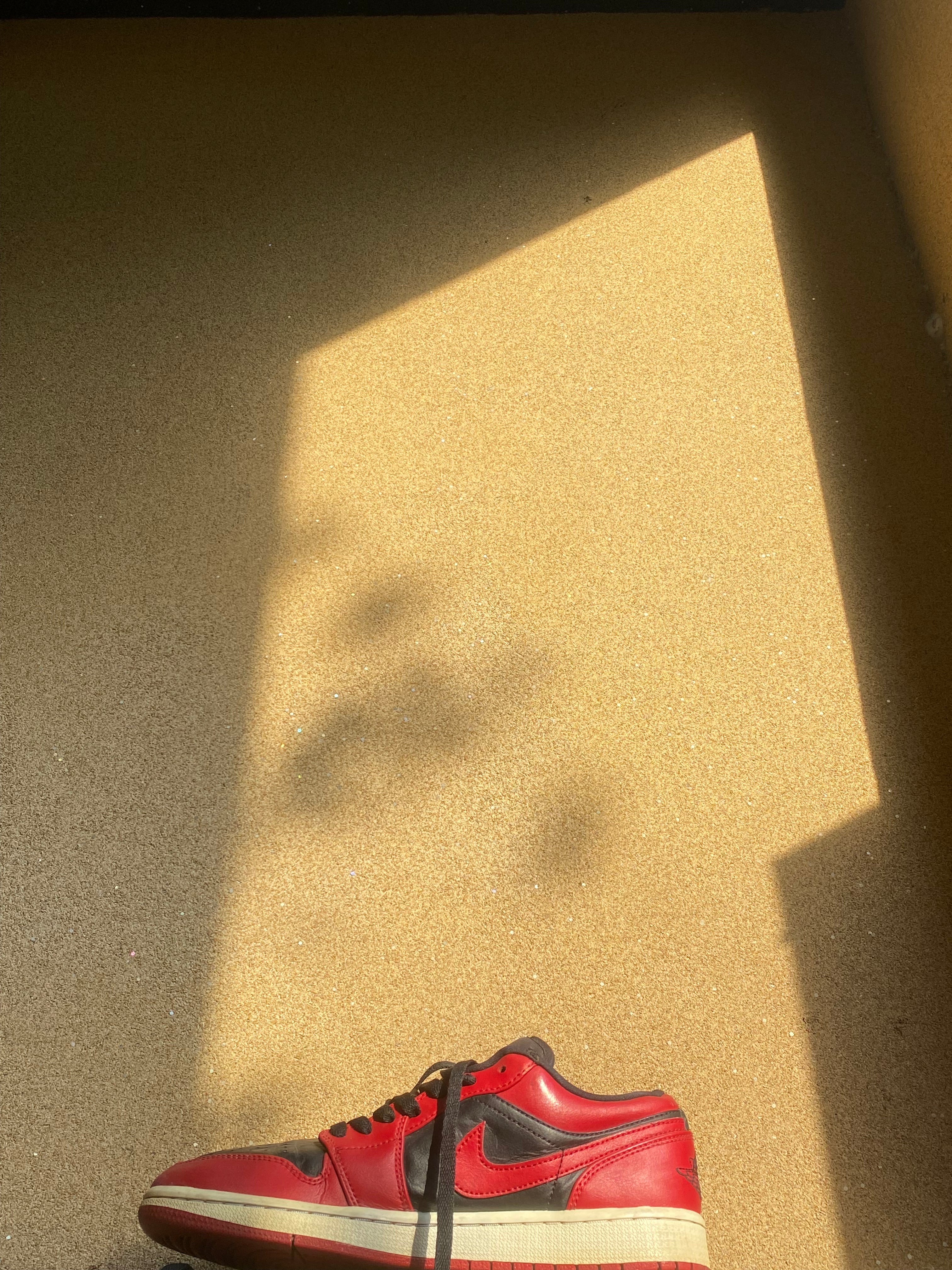 NIKE AIR JORDAN LOW REVERSE BRED 2020 🎈