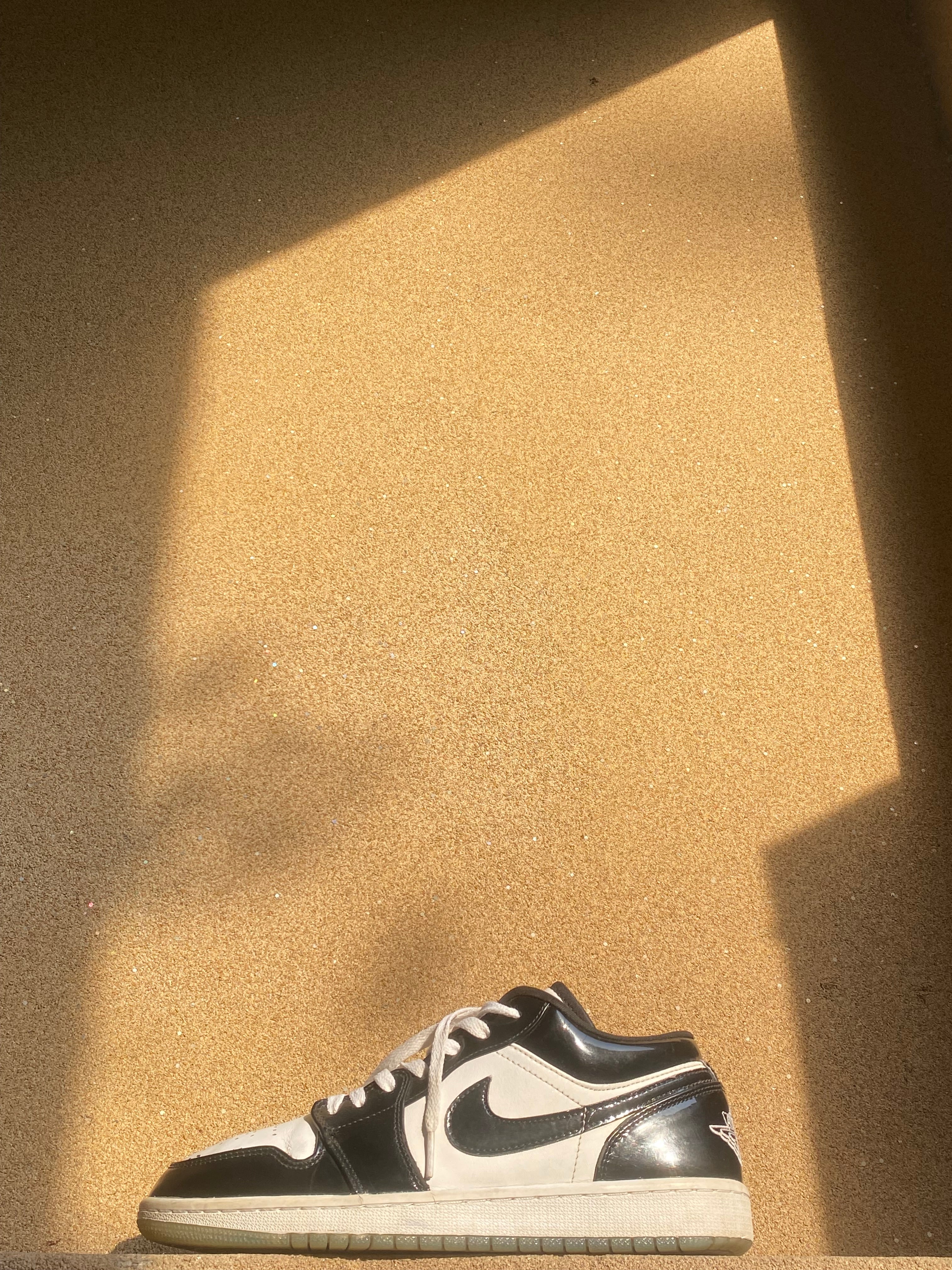 NIKE AIR JORDAN LOW CONCORD 🐊