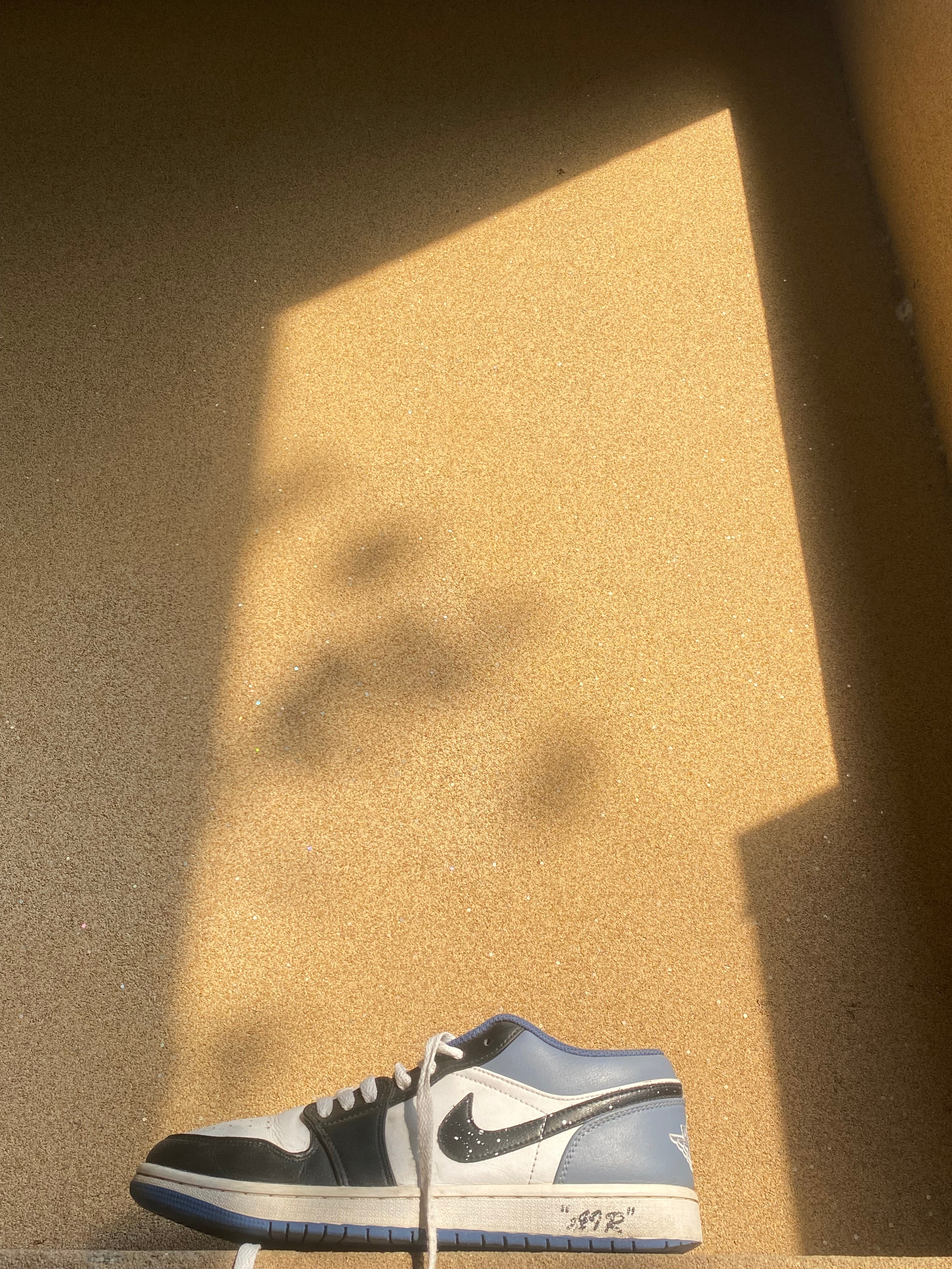 NIKE AIR JORDAN 1 LOW BLUE GRAVITY 🕷️