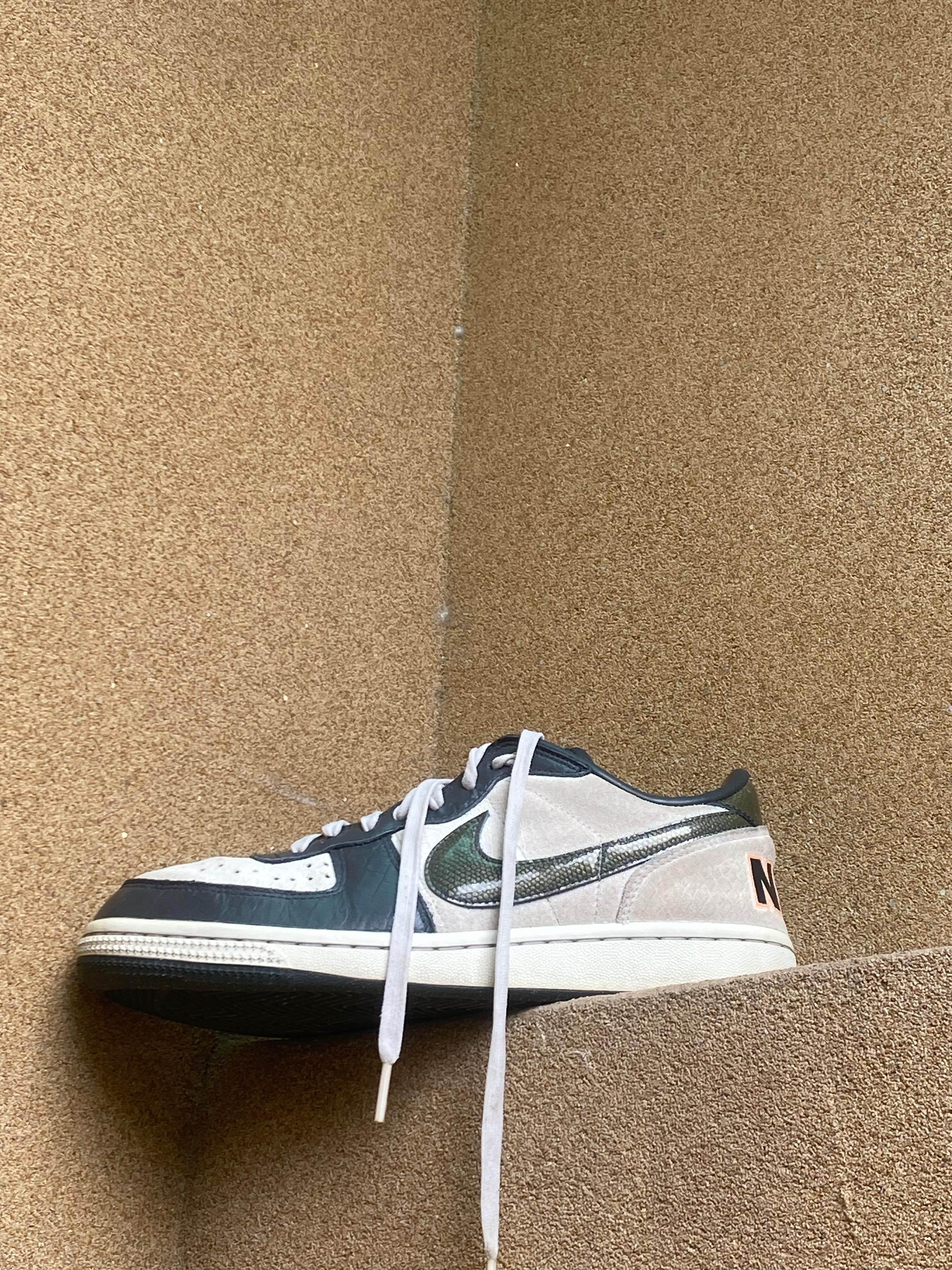 NIKE TERMINATOR DUNK LOW OG