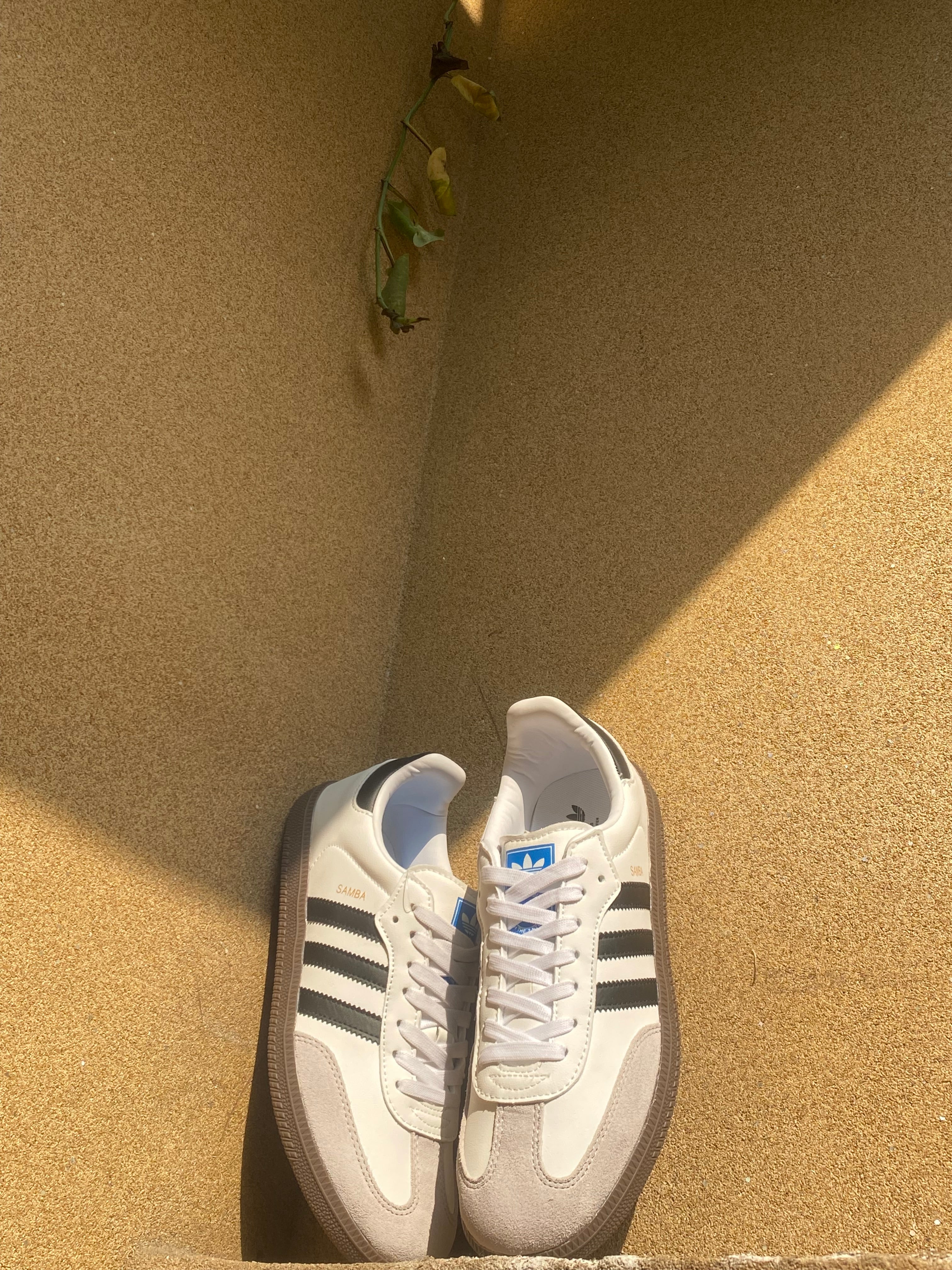 ADIDAS SAMBA OG 🦁