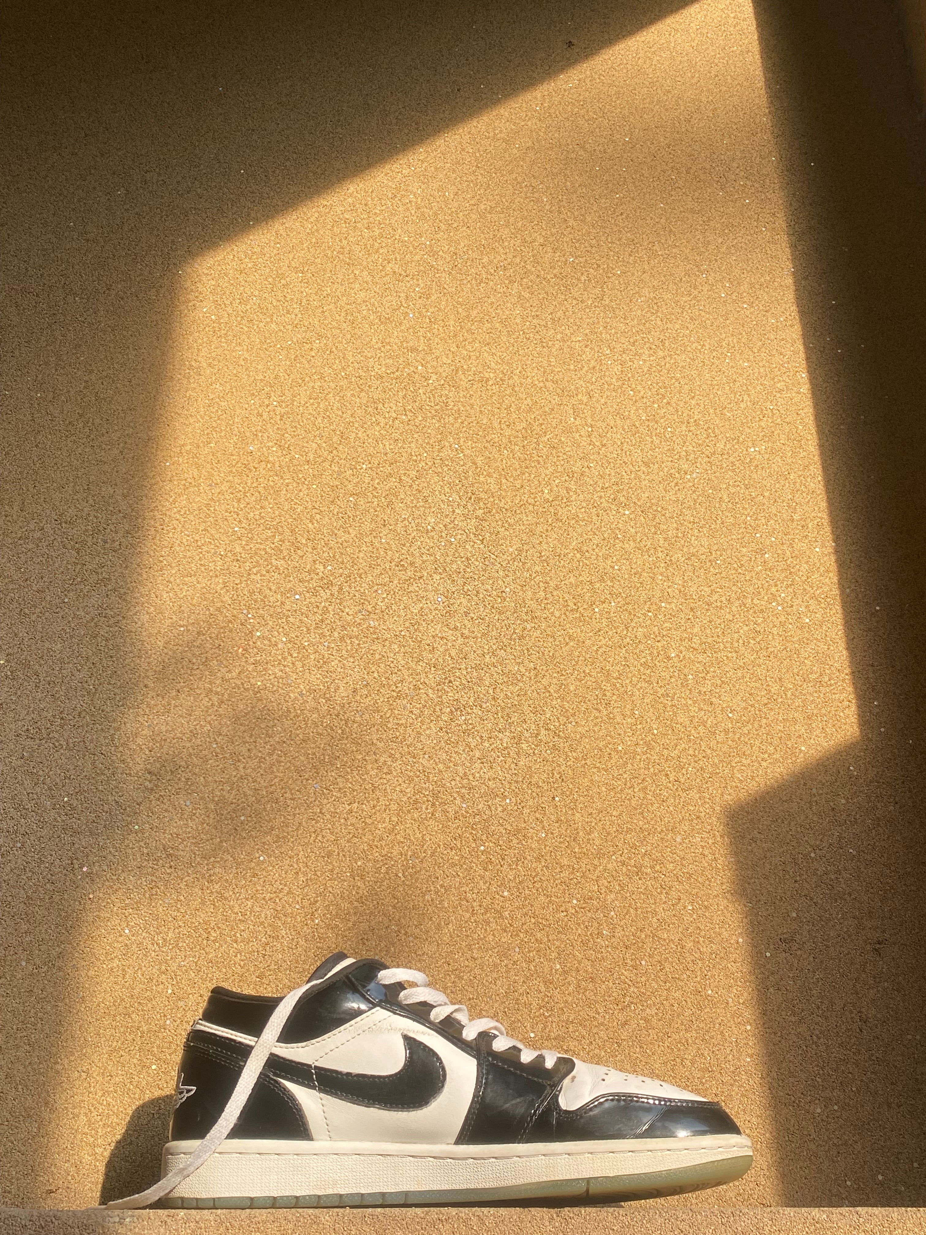 NIKE AIR JORDAN LOW CONCORD 🐊