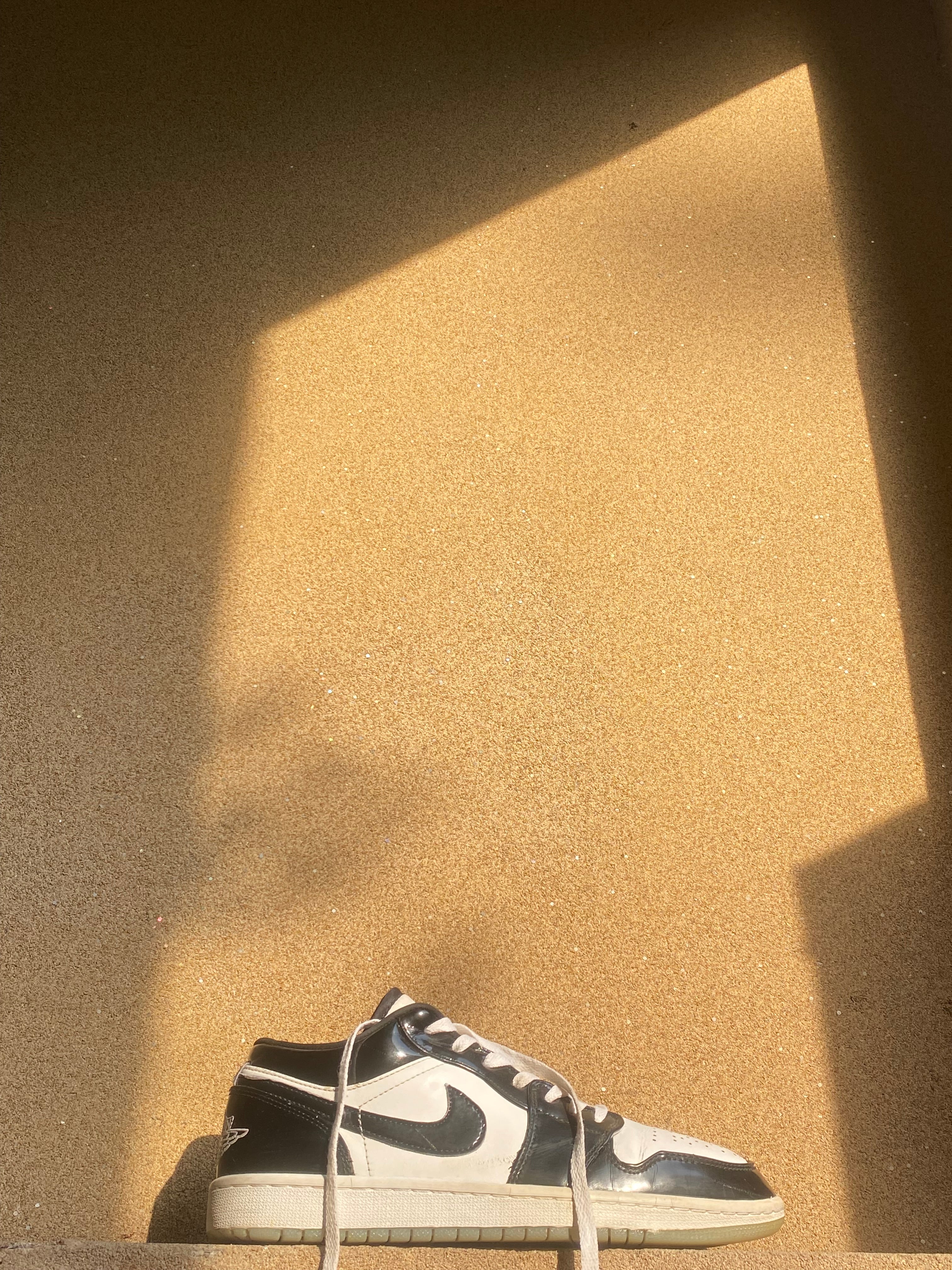 NIKE AIR JORDAN LOW CONCORD 🐊