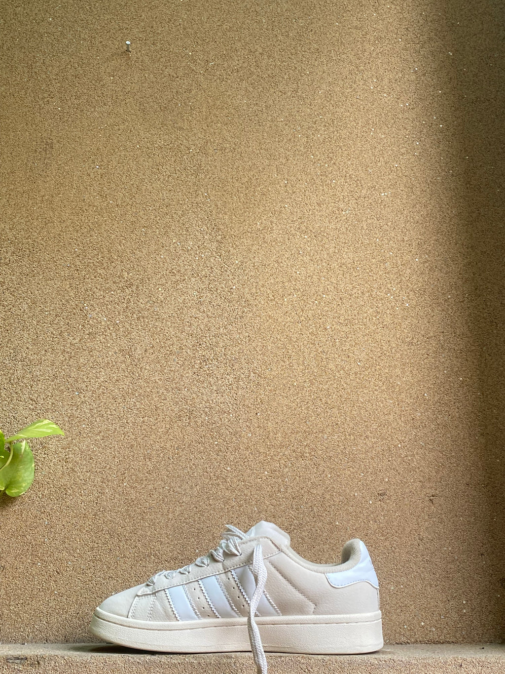 ADIDAS CAMPUS 👾
