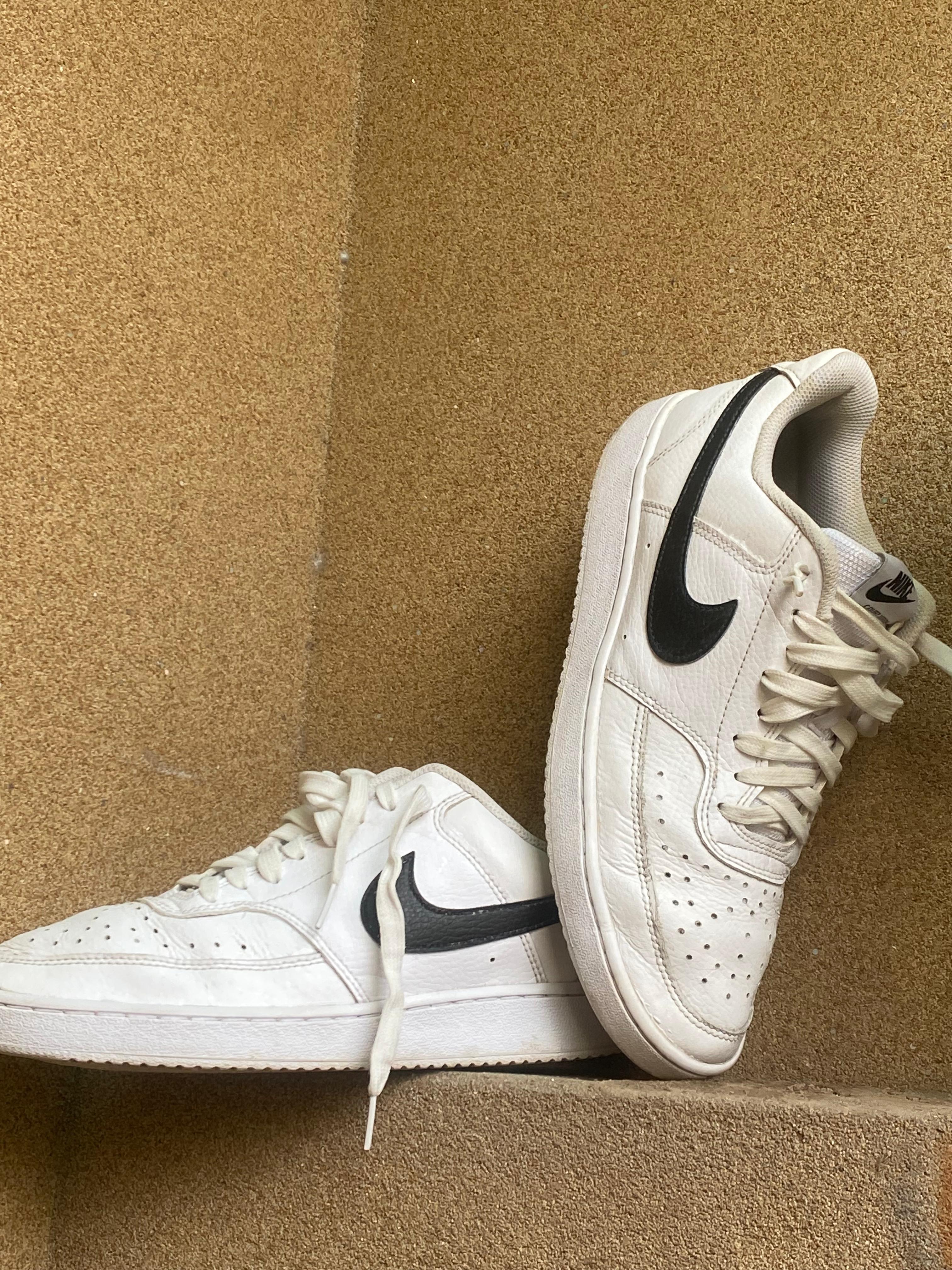 NIKE COURT VISION LOW 🐊