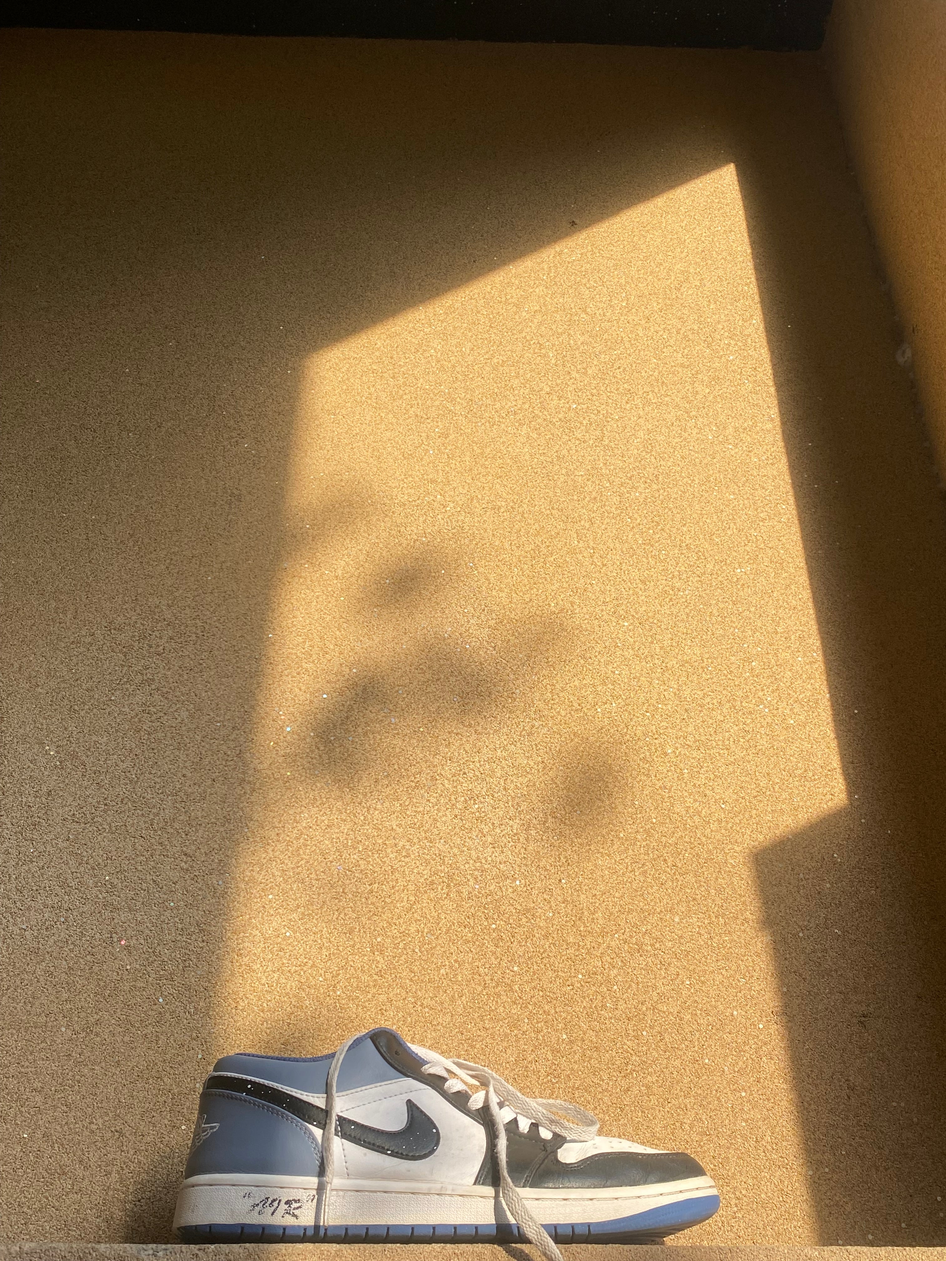 NIKE AIR JORDAN 1 LOW BLUE GRAVITY 🕷️