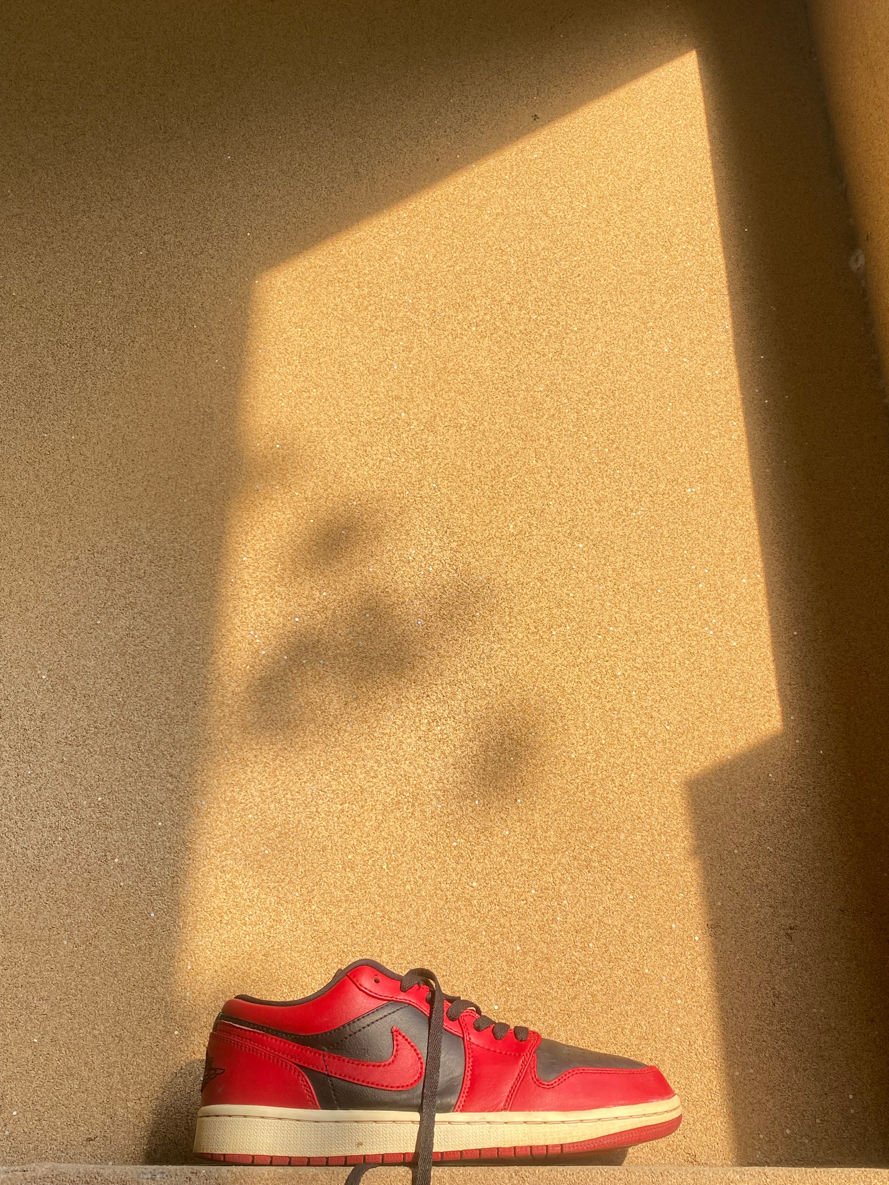 NIKE AIR JORDAN LOW REVERSE BRED 2020 🎈