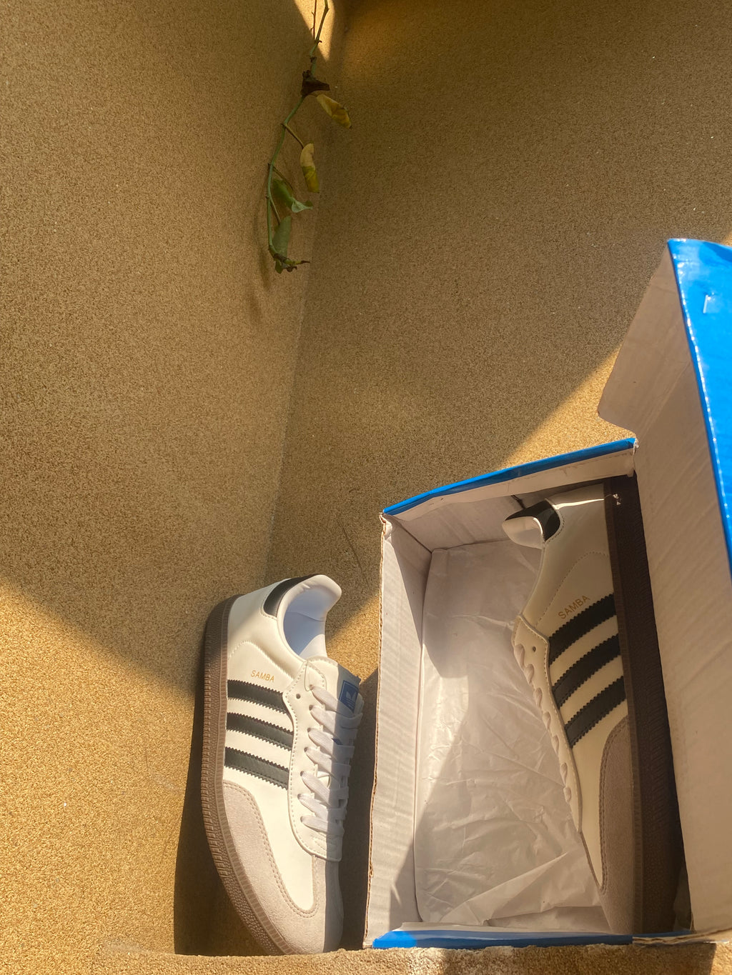 ADIDAS SAMBA OG 🦁