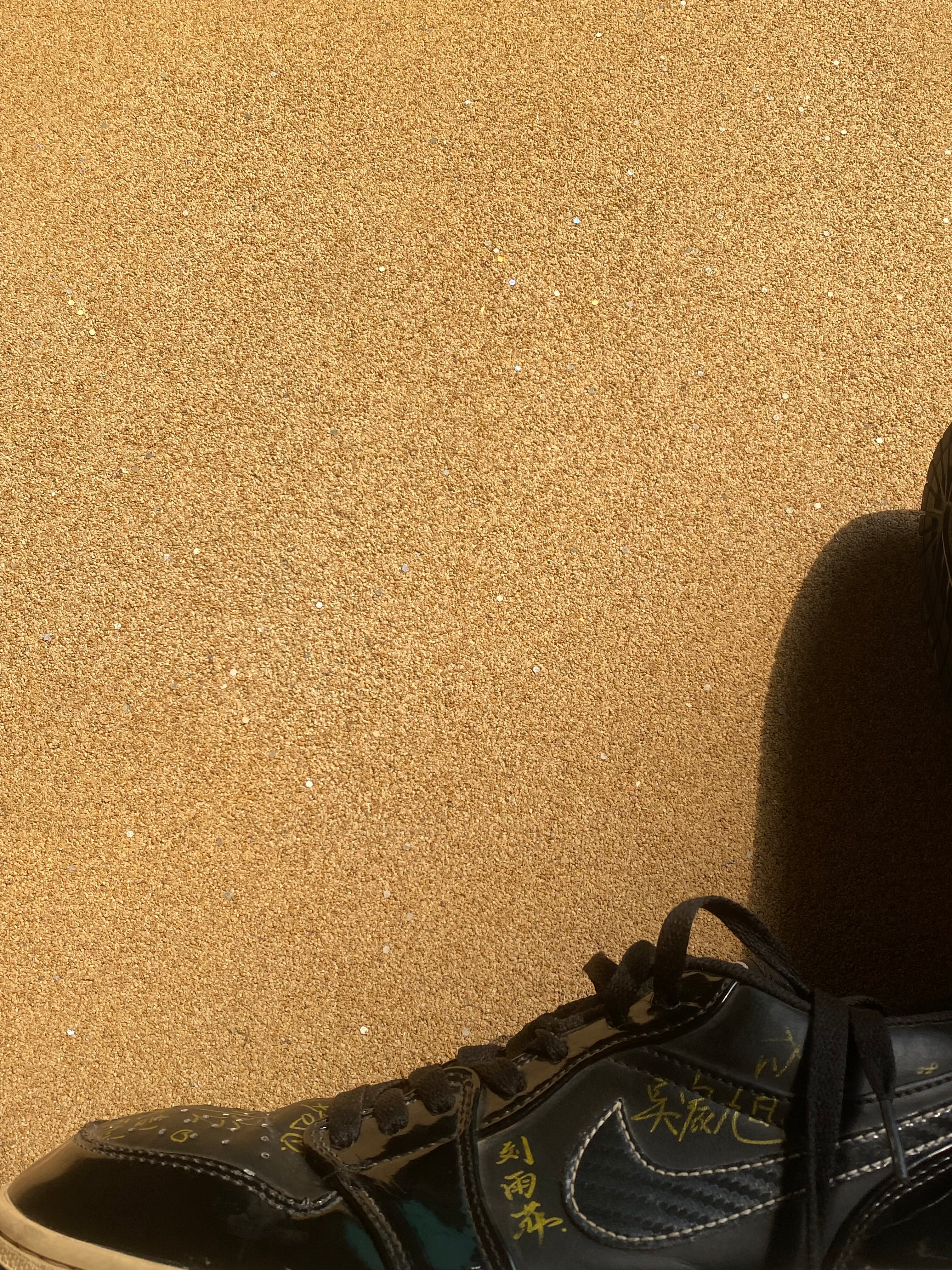 NIKE AIR JORDAN 1 LOW ALL STARS 🪽