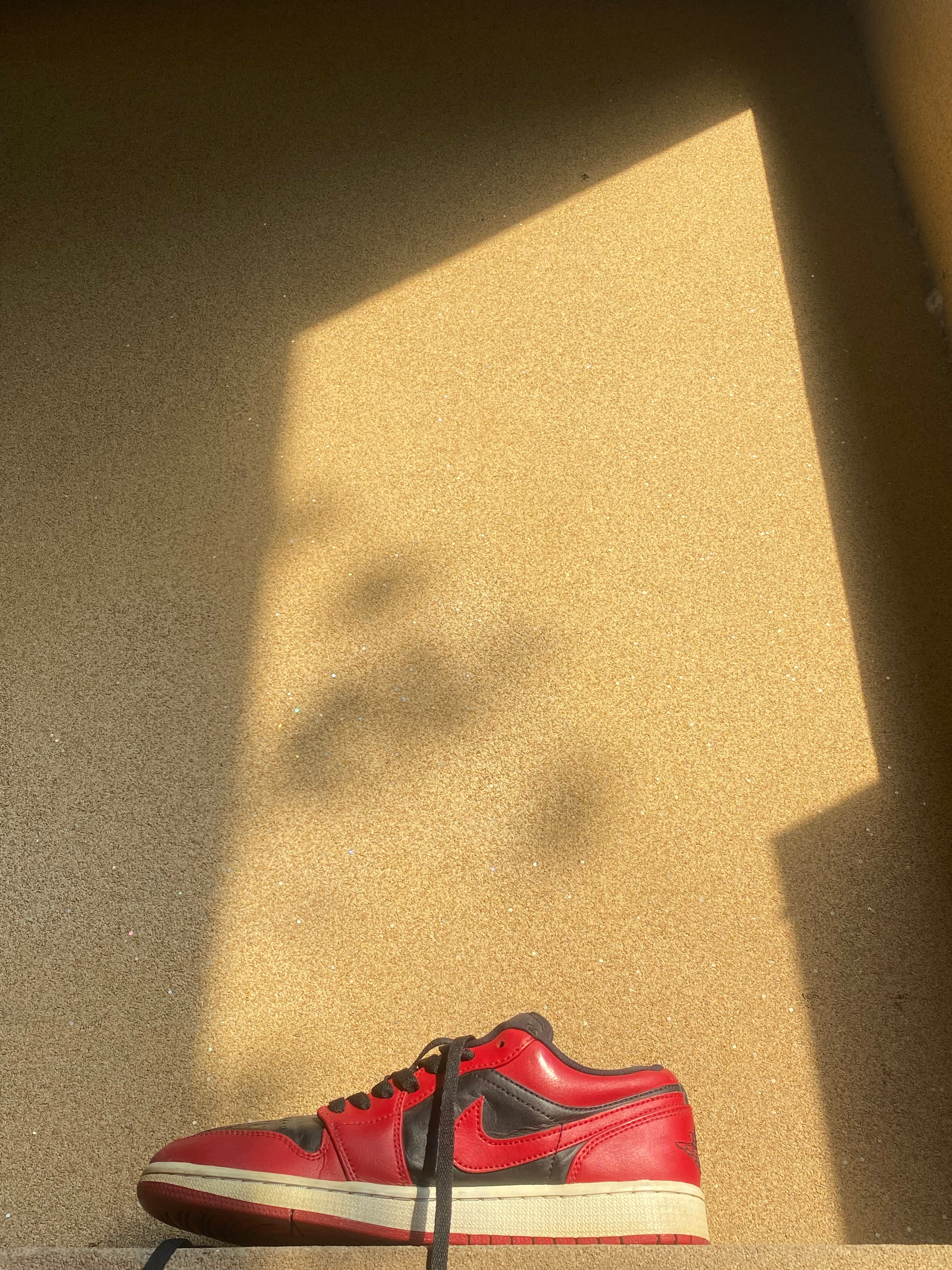 NIKE AIR JORDAN LOW REVERSE BRED 2020 🎈