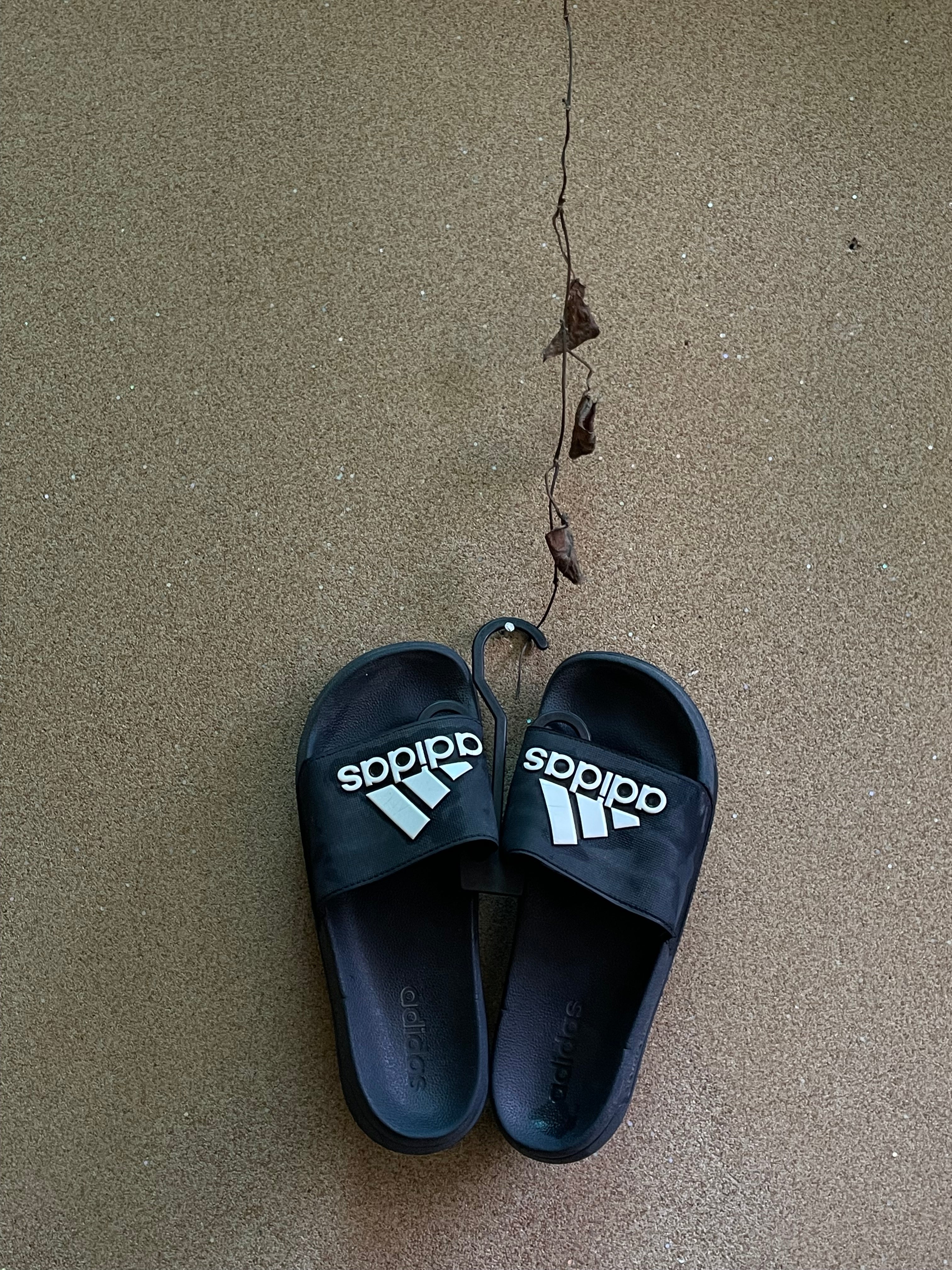 ADIDAS SLIDES 🌊