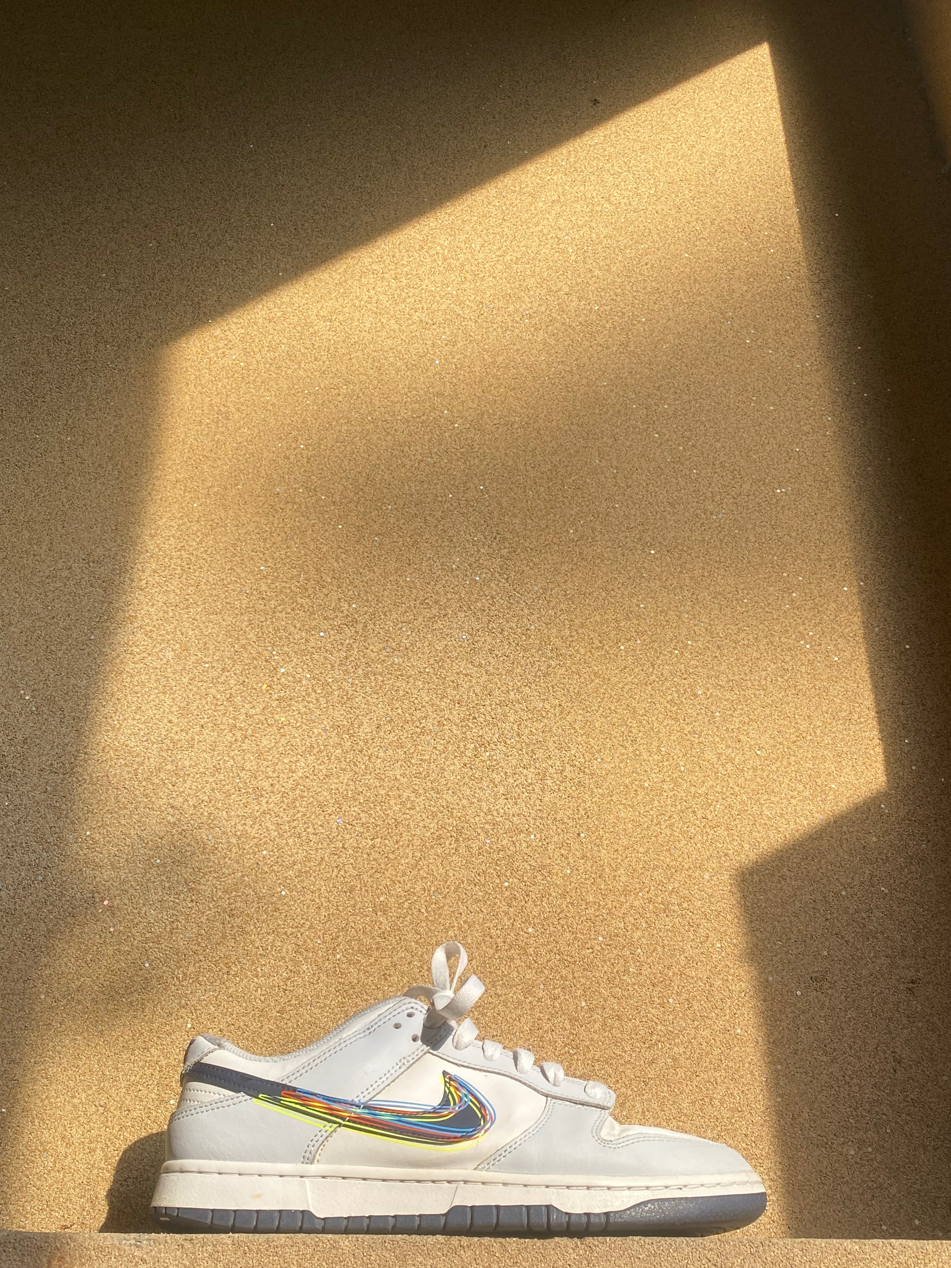 NIKE DUNK LOW 3D SWOOSH 🧊