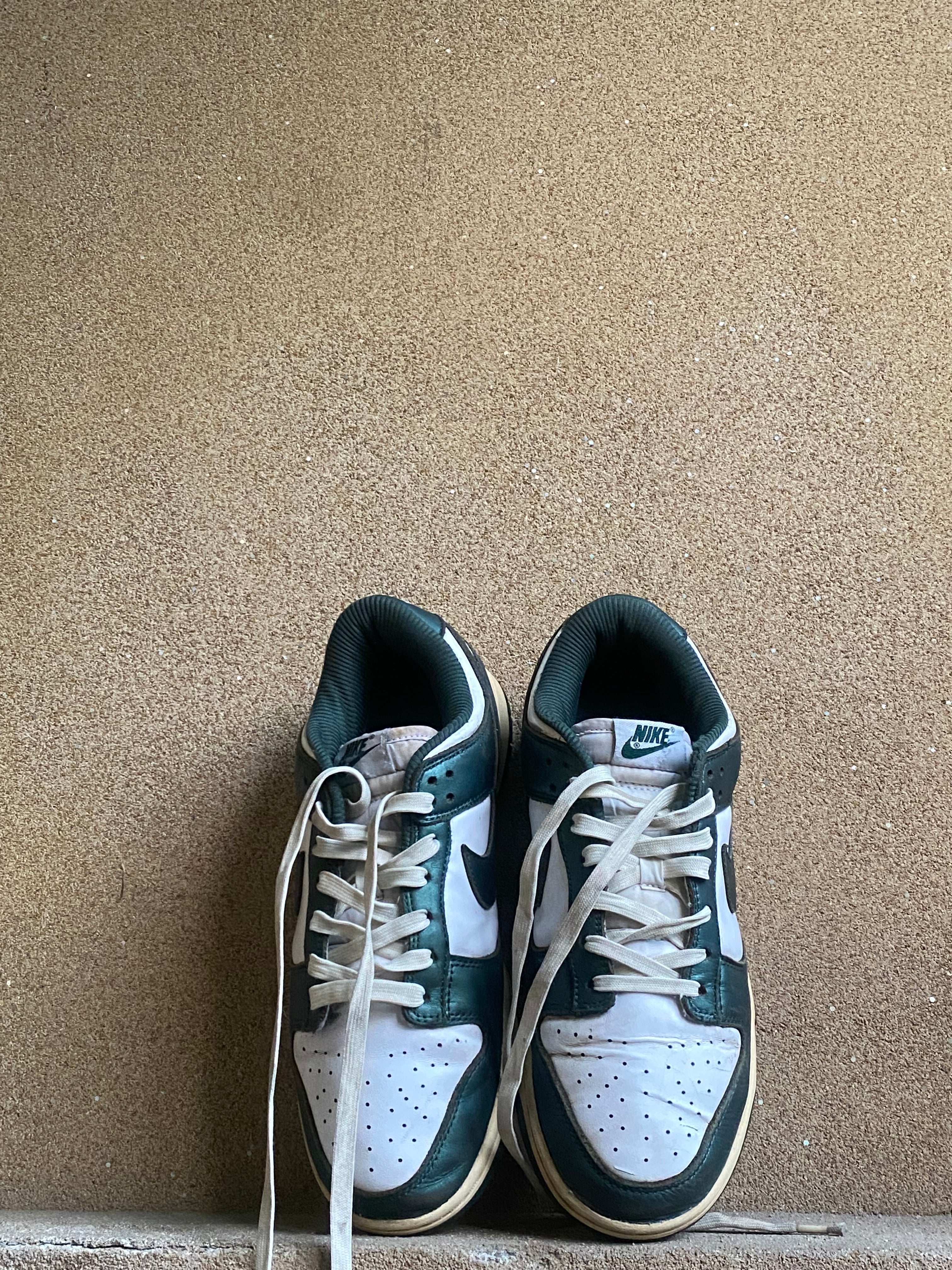 NIKE DUNK LOW PINE GREEN💚