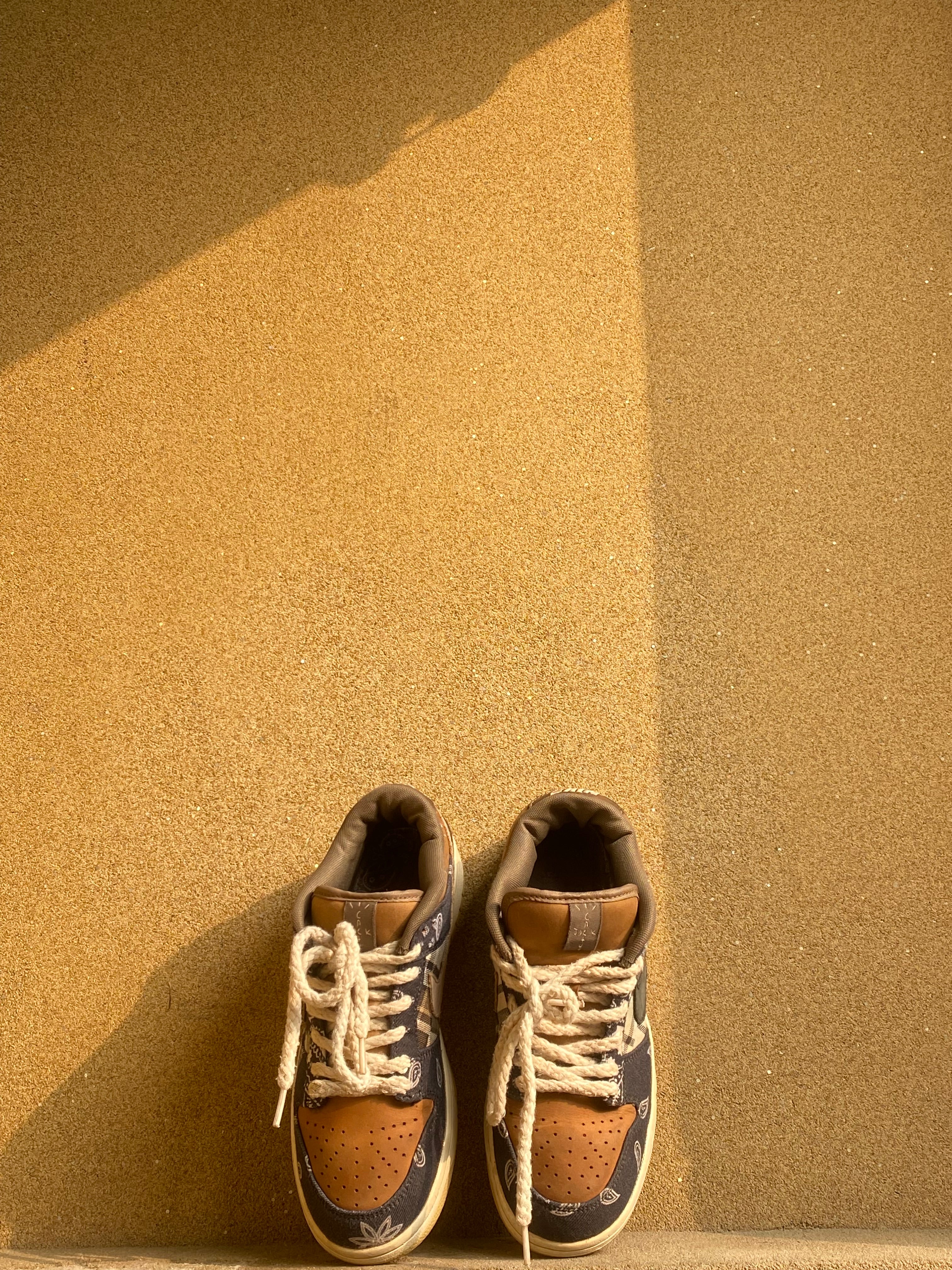 NIKE SB DUNK LOW TRAVIS SCOTT 🥶