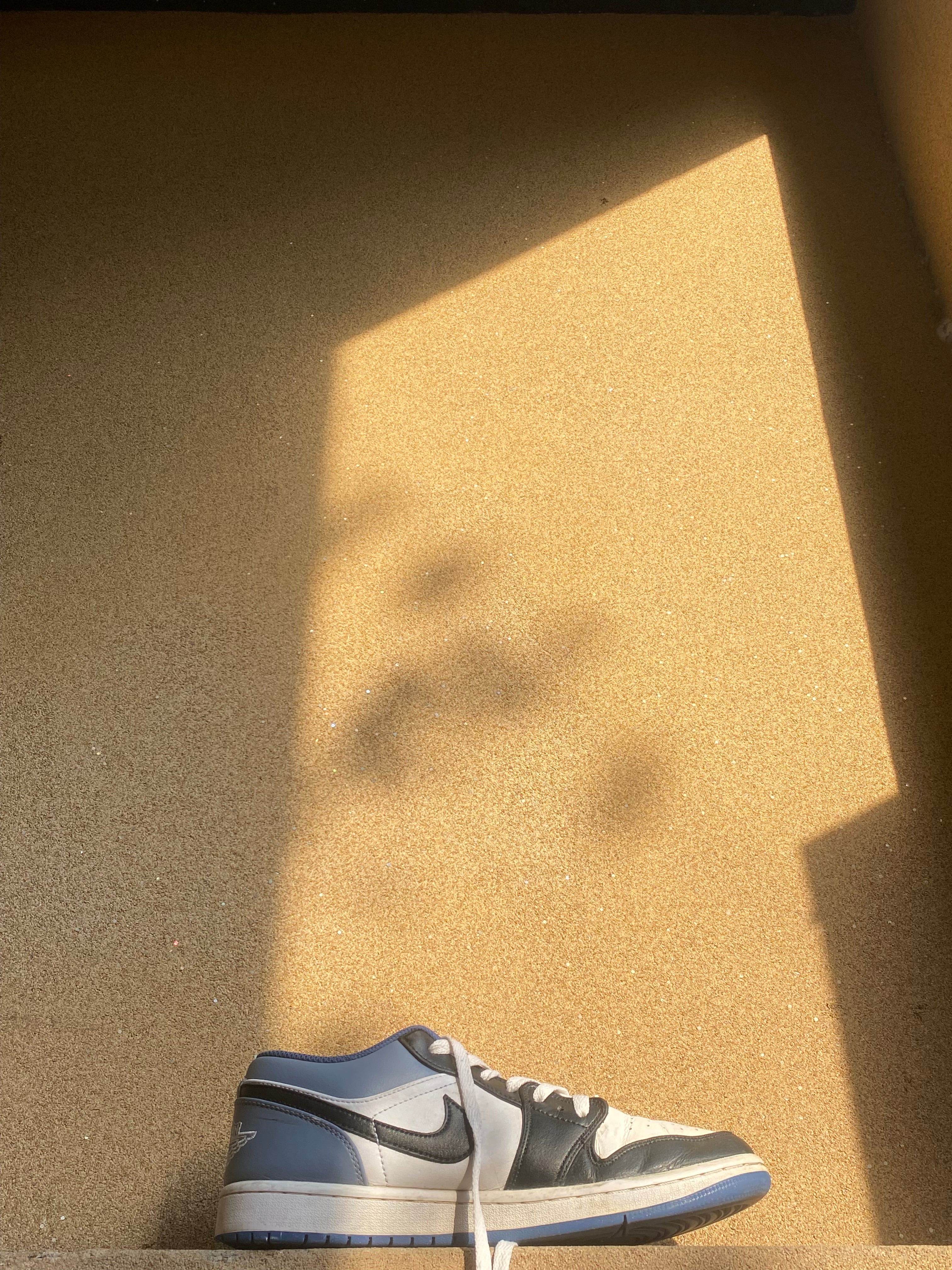 NIKE AIR JORDAN 1 LOW BLUE GRAVITY 🕷️