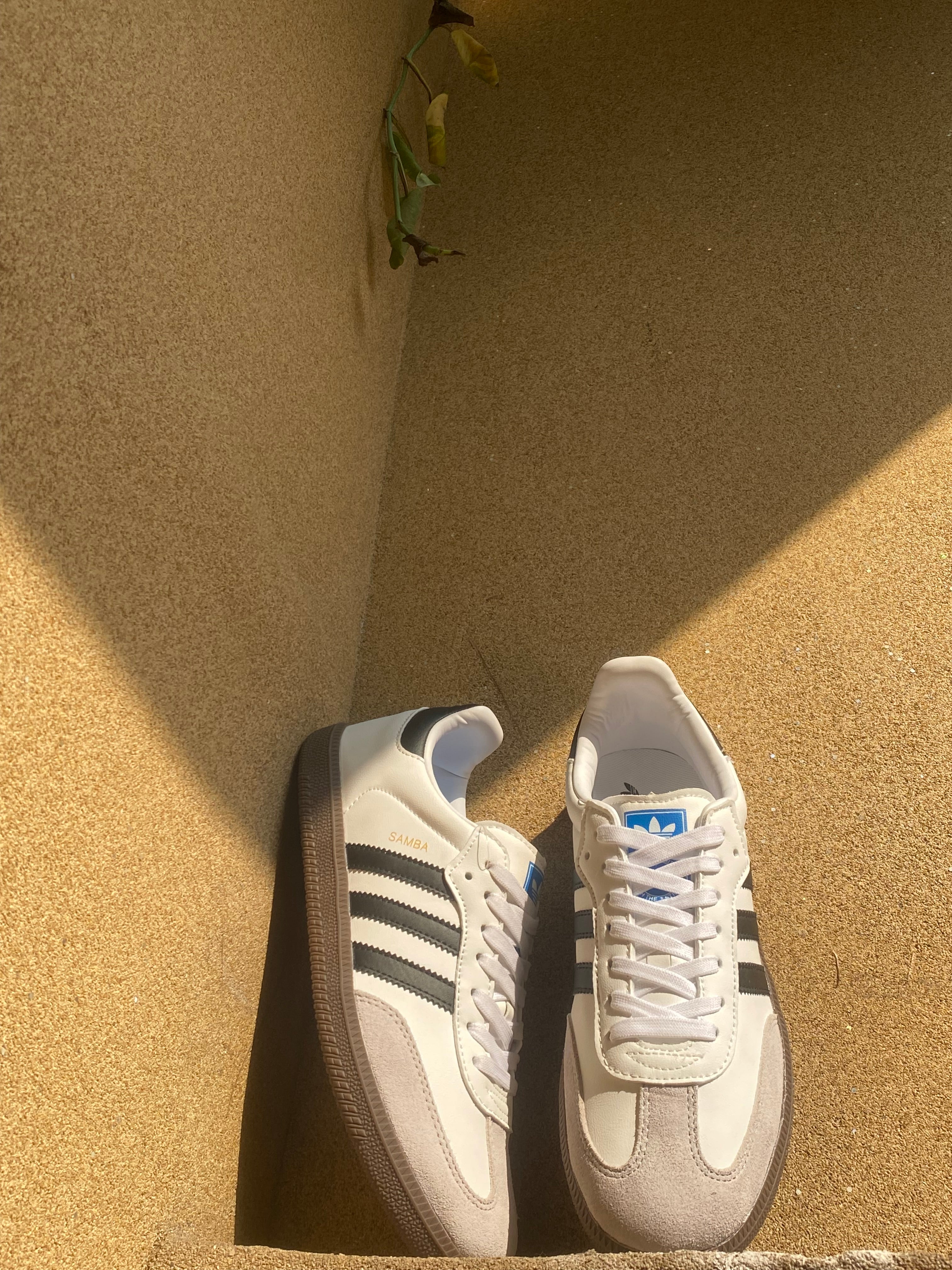 ADIDAS SAMBA OG 🦁