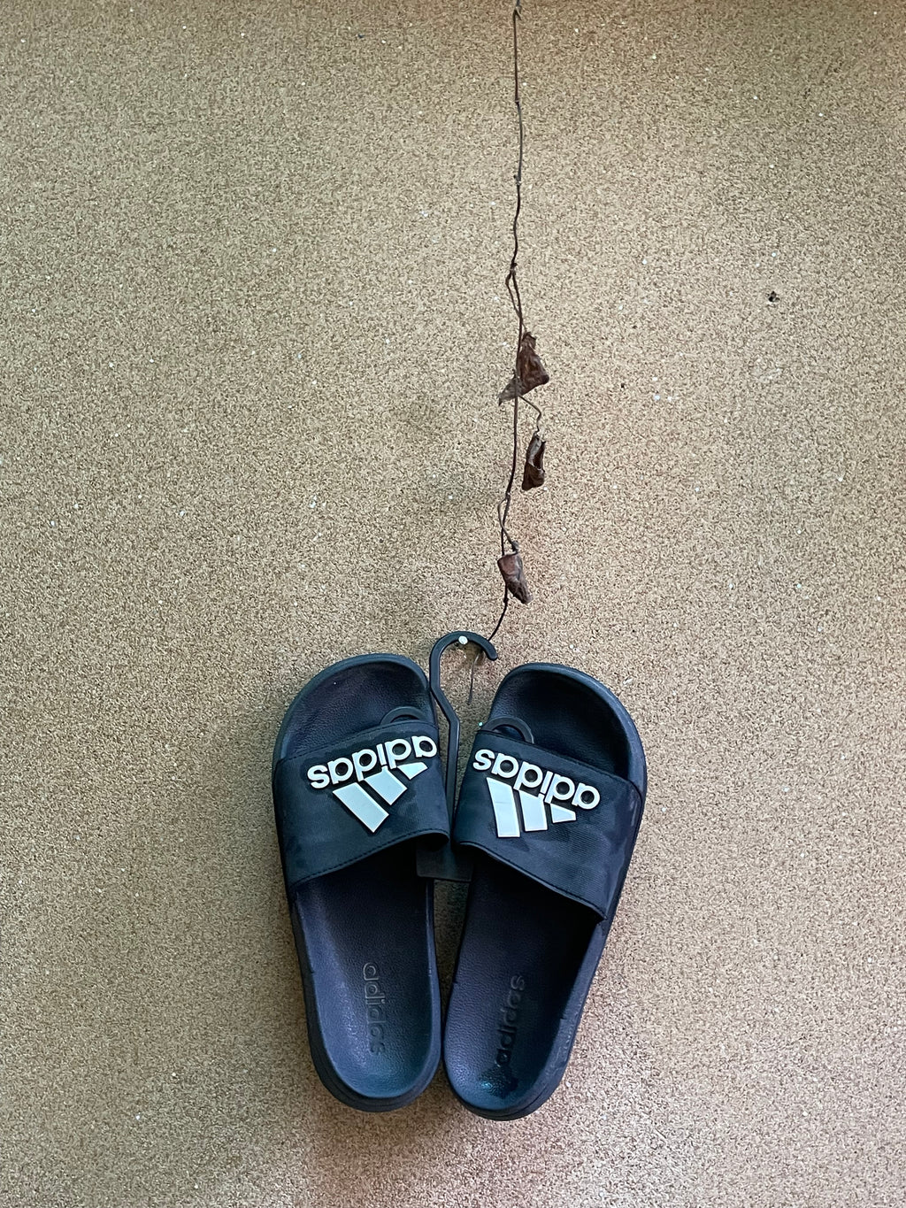 ADIDAS SLIDES 🌊
