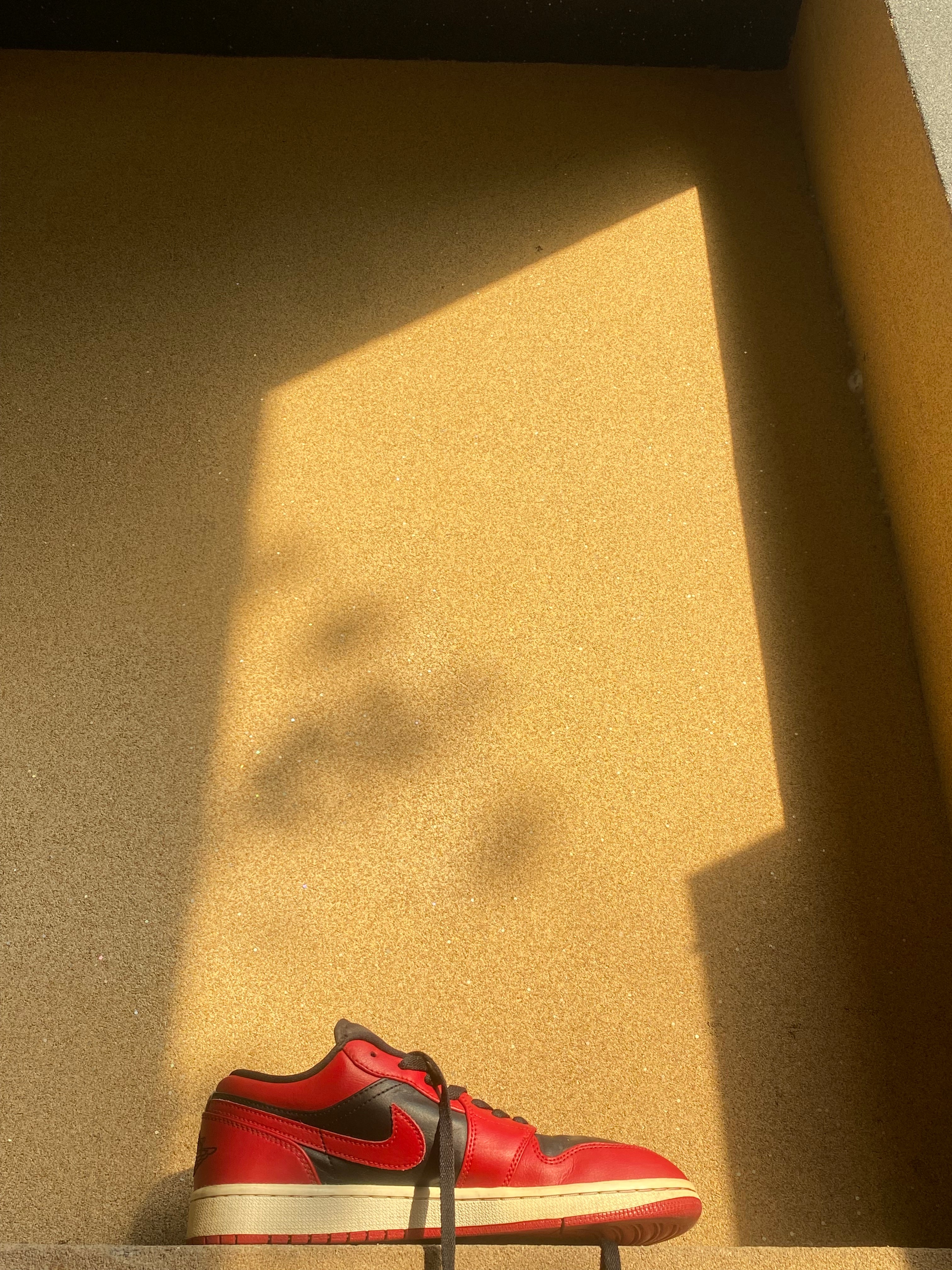 NIKE AIR JORDAN LOW REVERSE BRED 2020 🎈