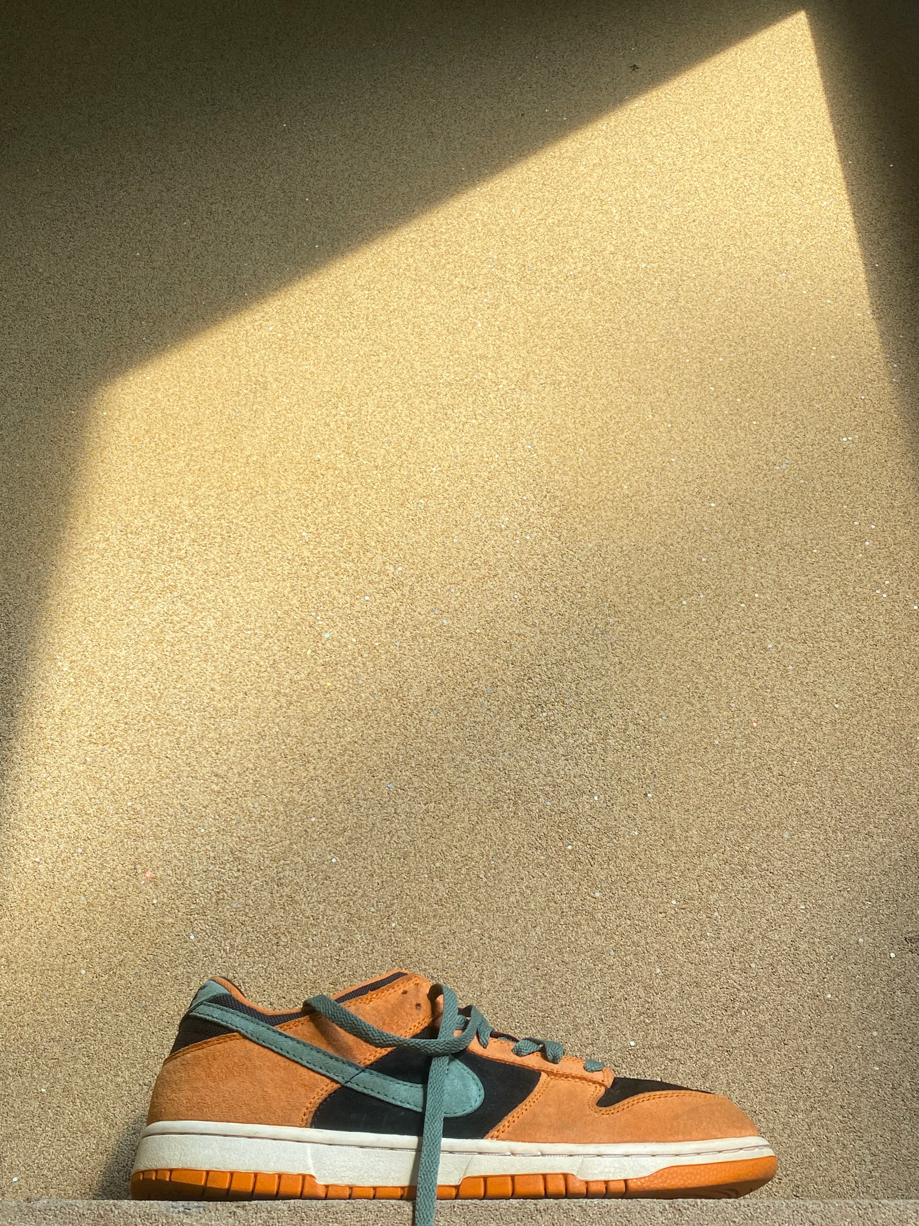 NIKE DUNK LOW SP CERAMIC 🏺