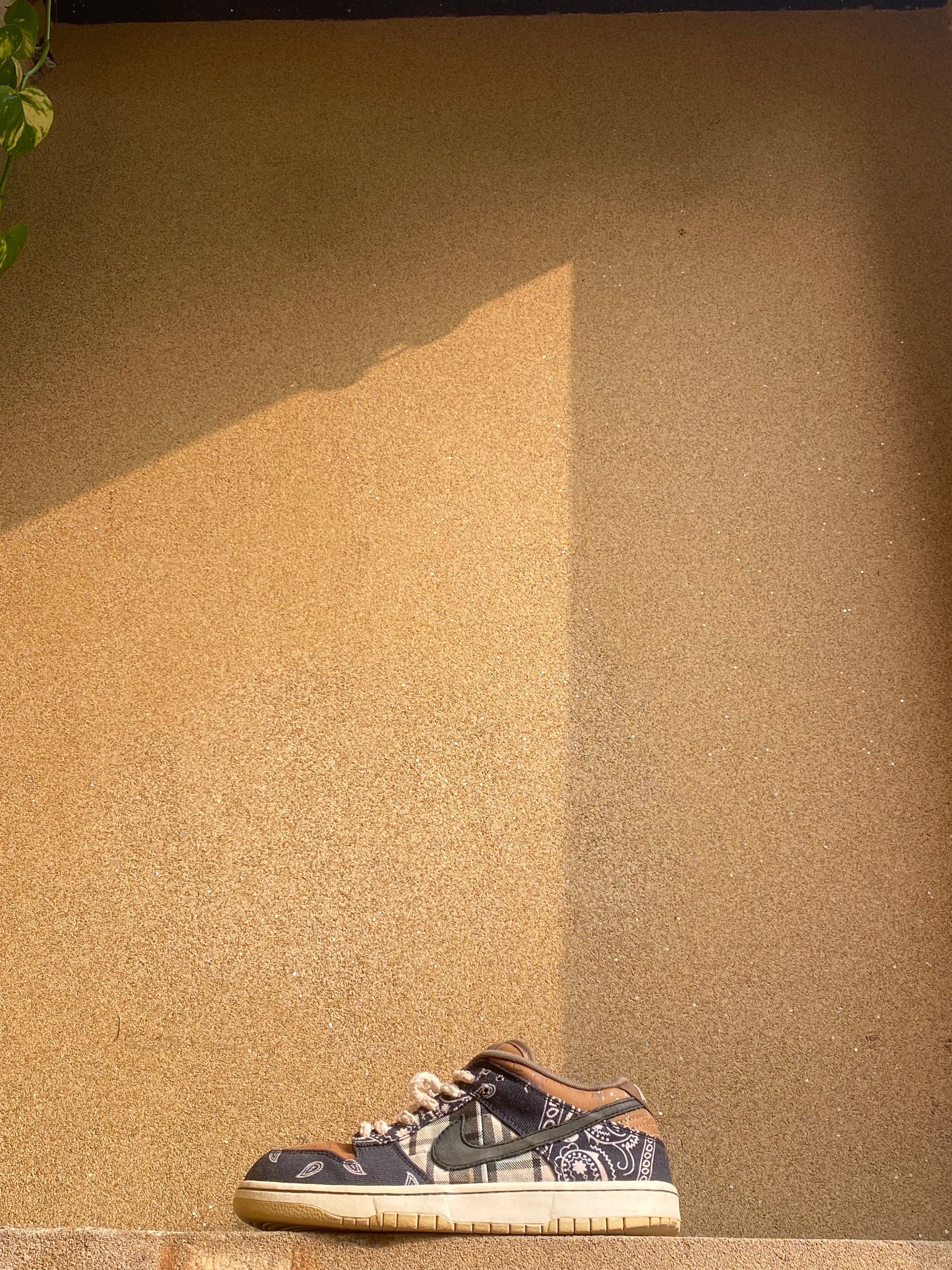 NIKE SB DUNK LOW TRAVIS SCOTT 🥶