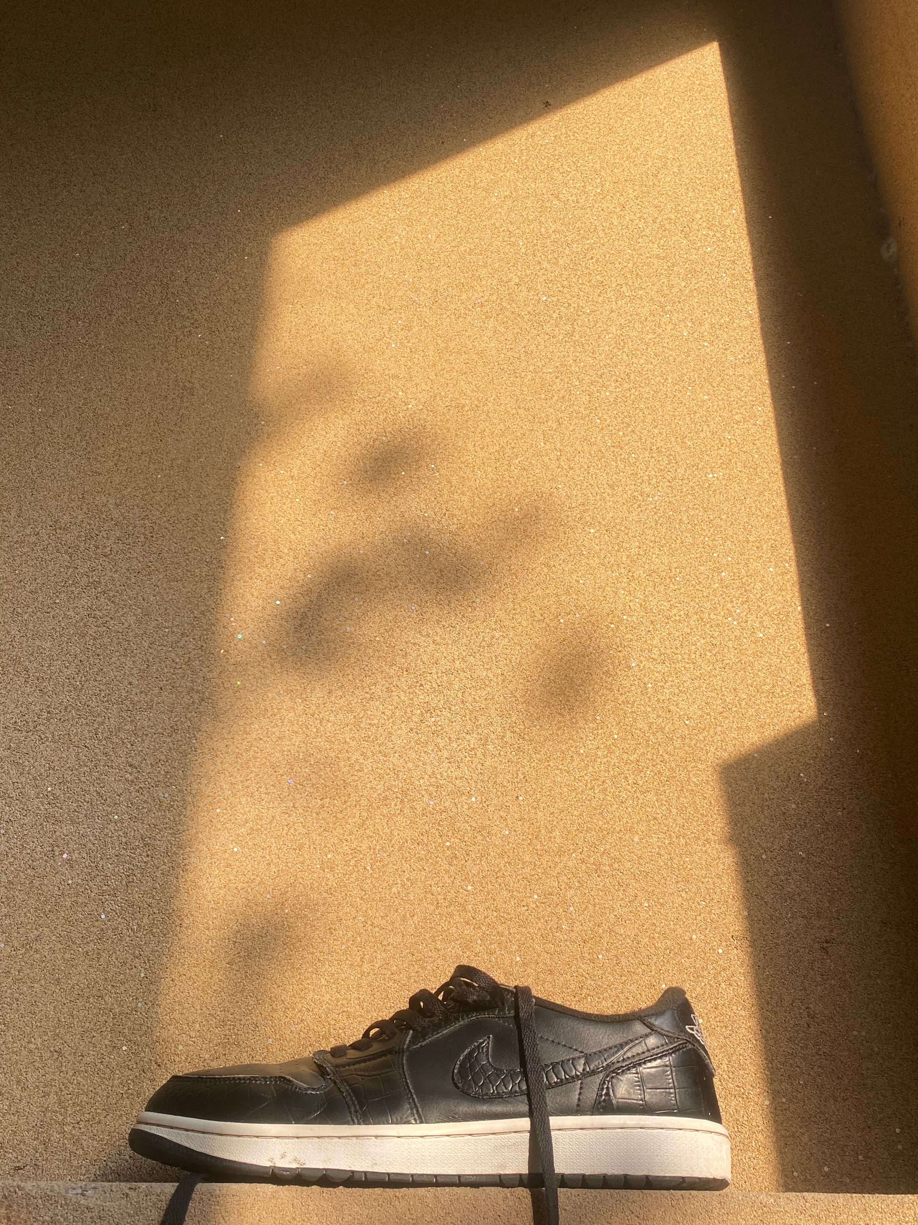 NIKE AIR JORDAN 1 LOW GOLF BLACK 🕷️ PK 10