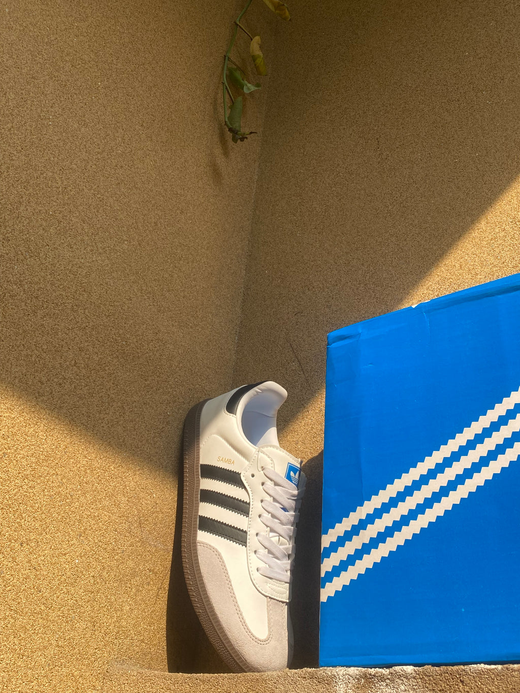ADIDAS SAMBA OG 🦁