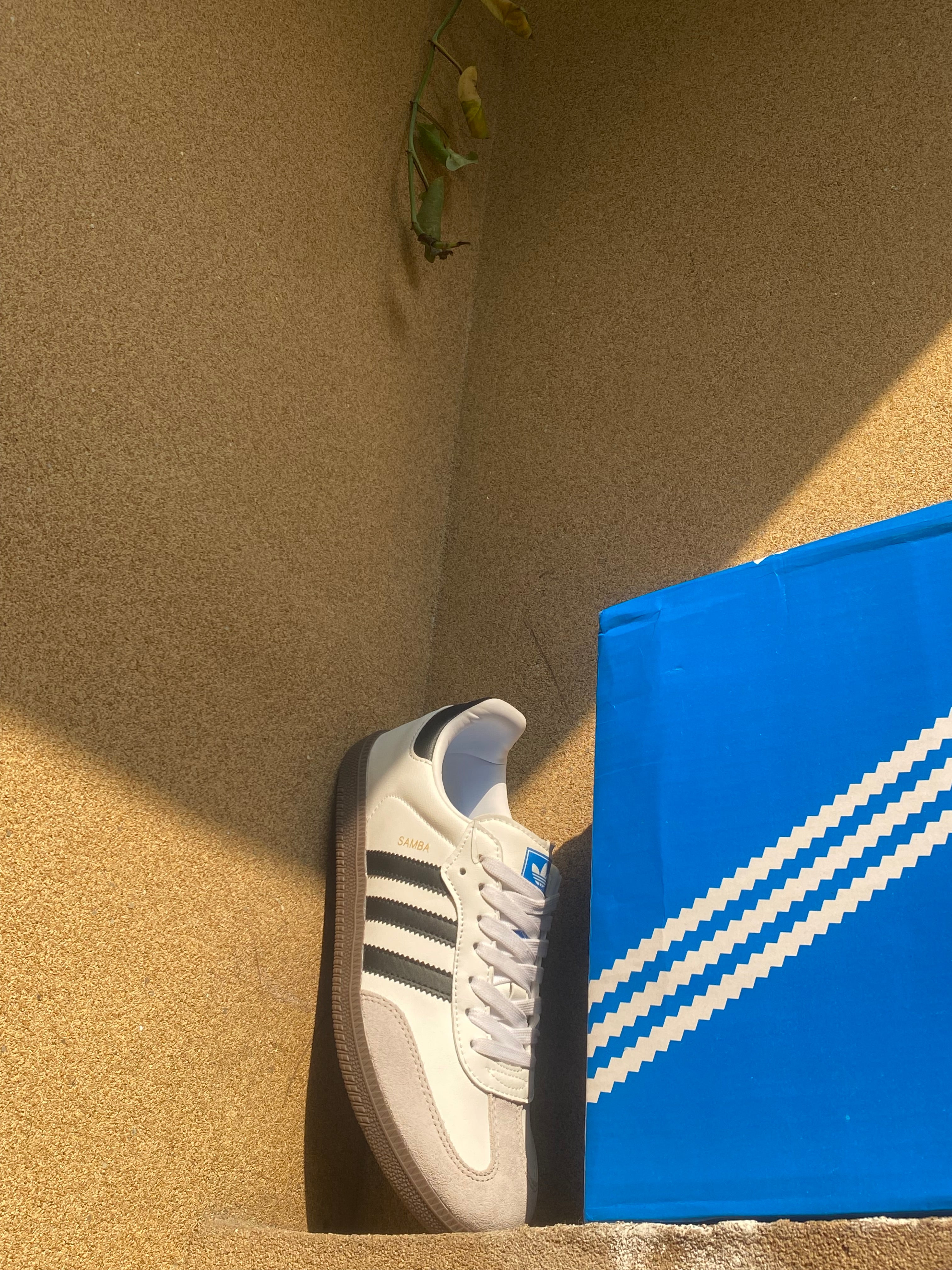 ADIDAS SAMBA OG 🦁