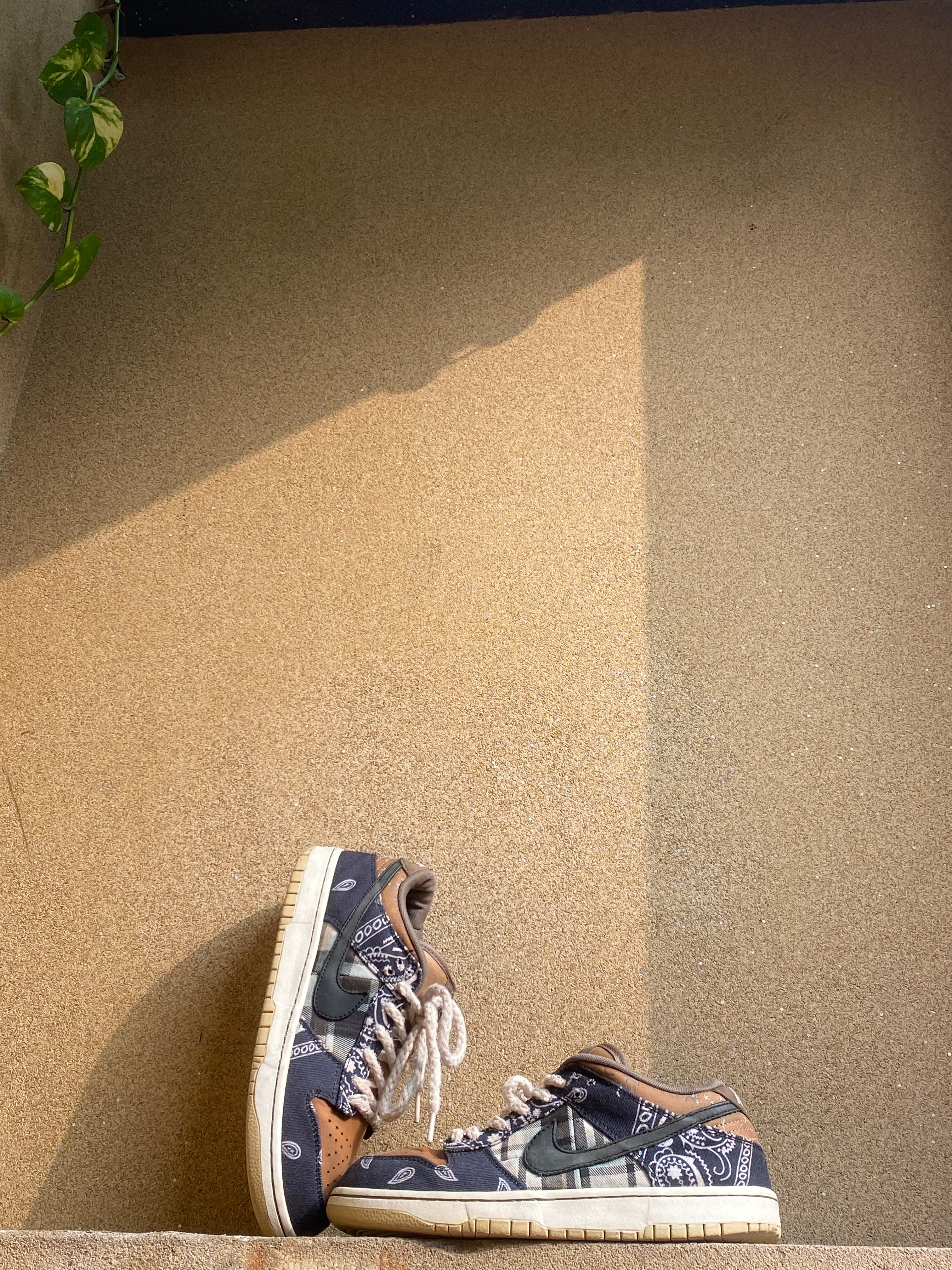 NIKE SB DUNK LOW TRAVIS SCOTT 🥶