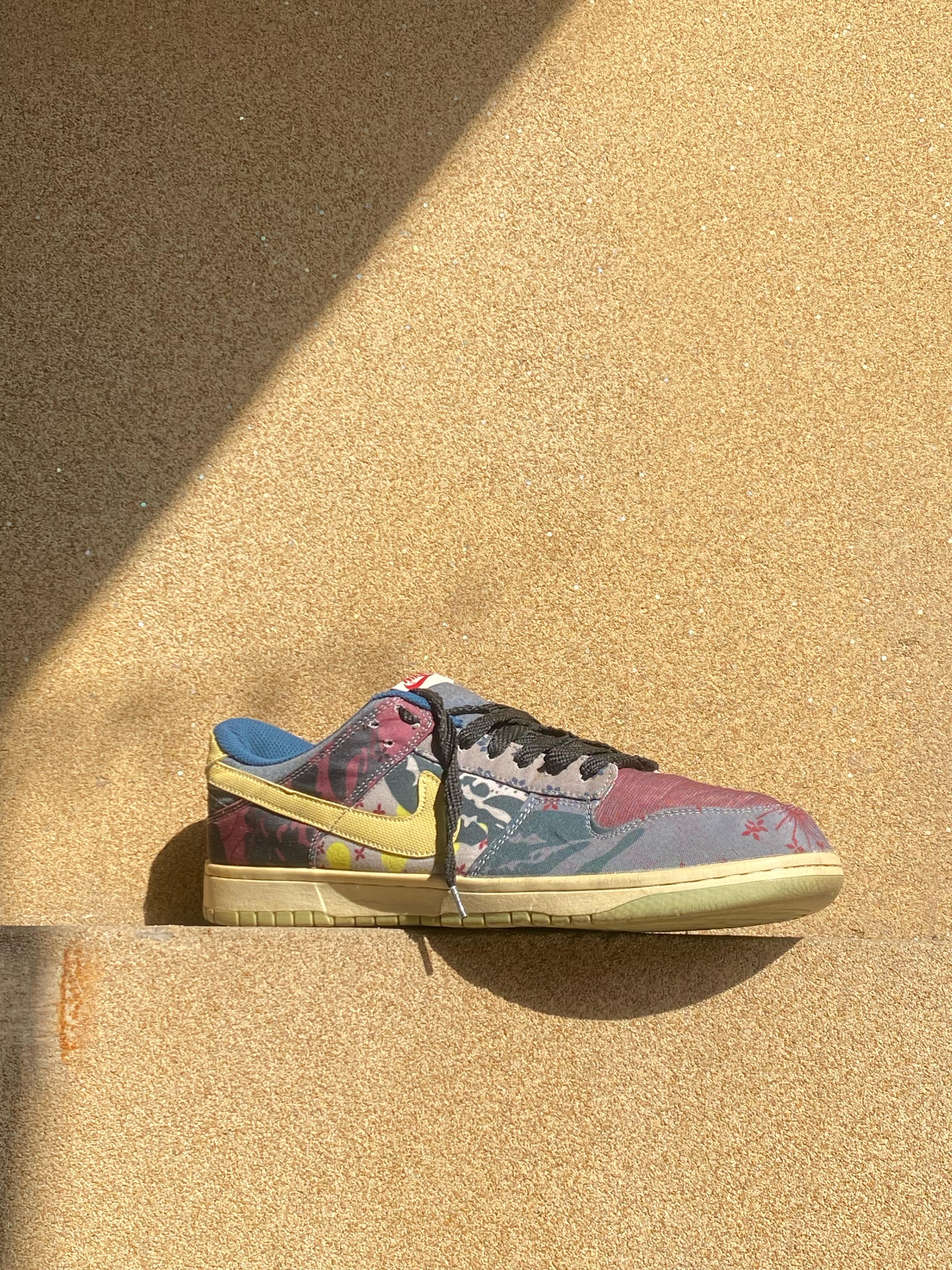 NIKE MENS DUNK LOW COMMUNITY GARDEN