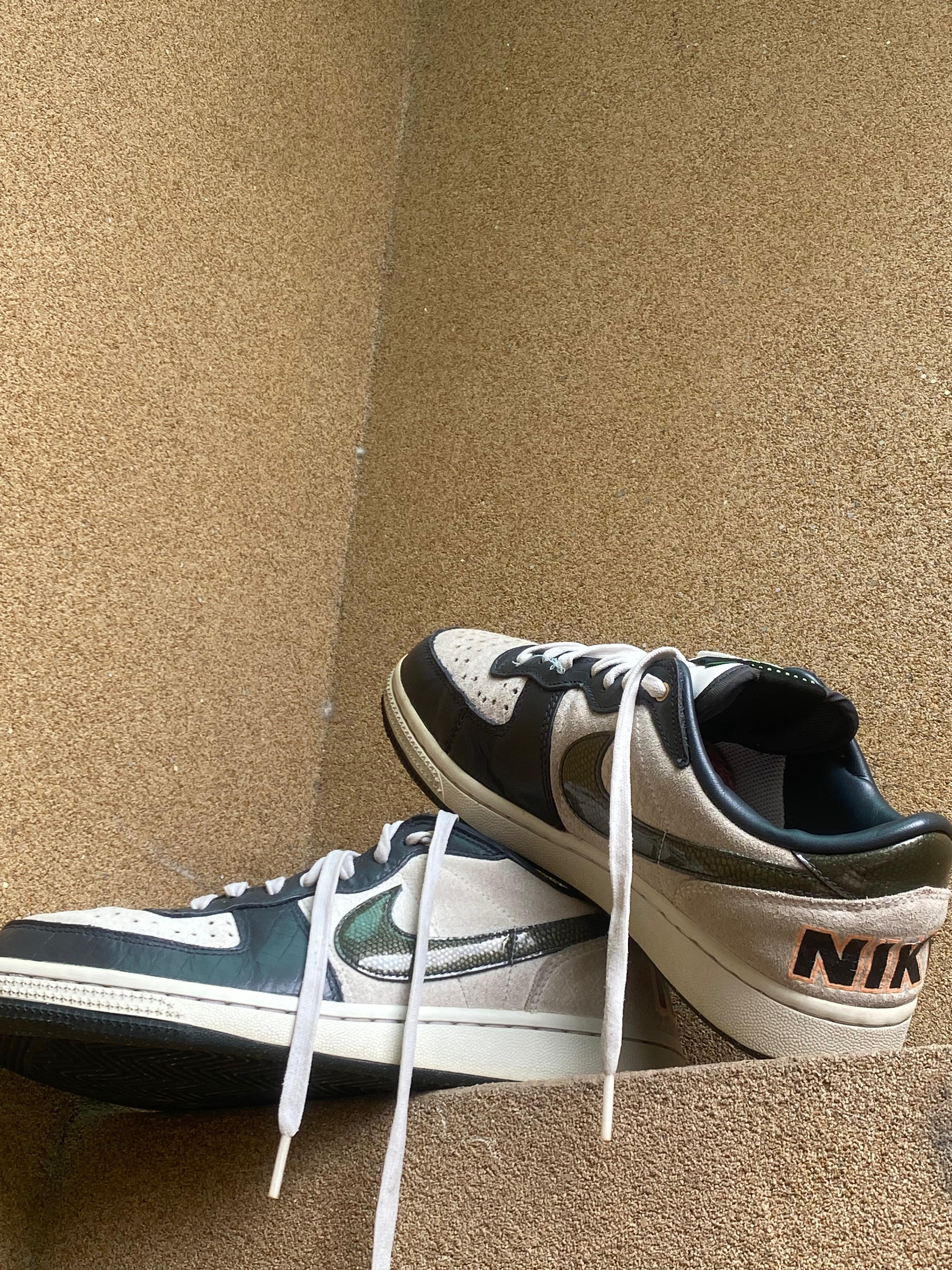 NIKE TERMINATOR DUNK LOW OG