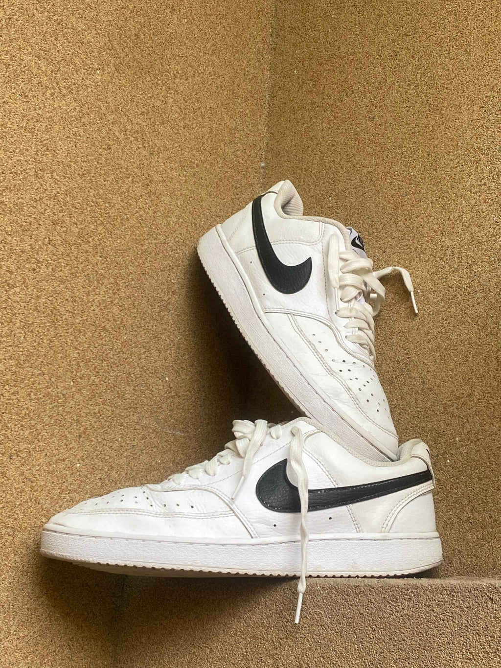NIKE COURT VISION LOW 🐊