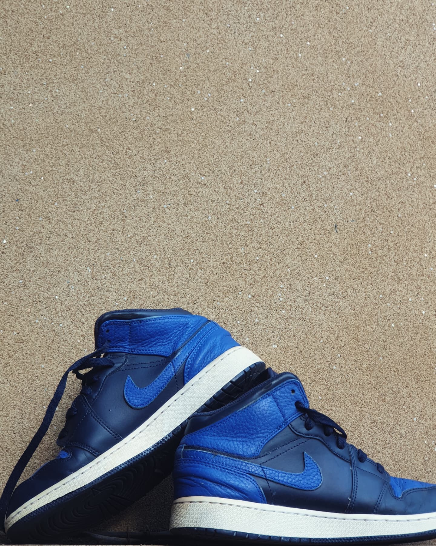 NIKE JORDAN 1 OBSIDIAN ROYAL 🦈